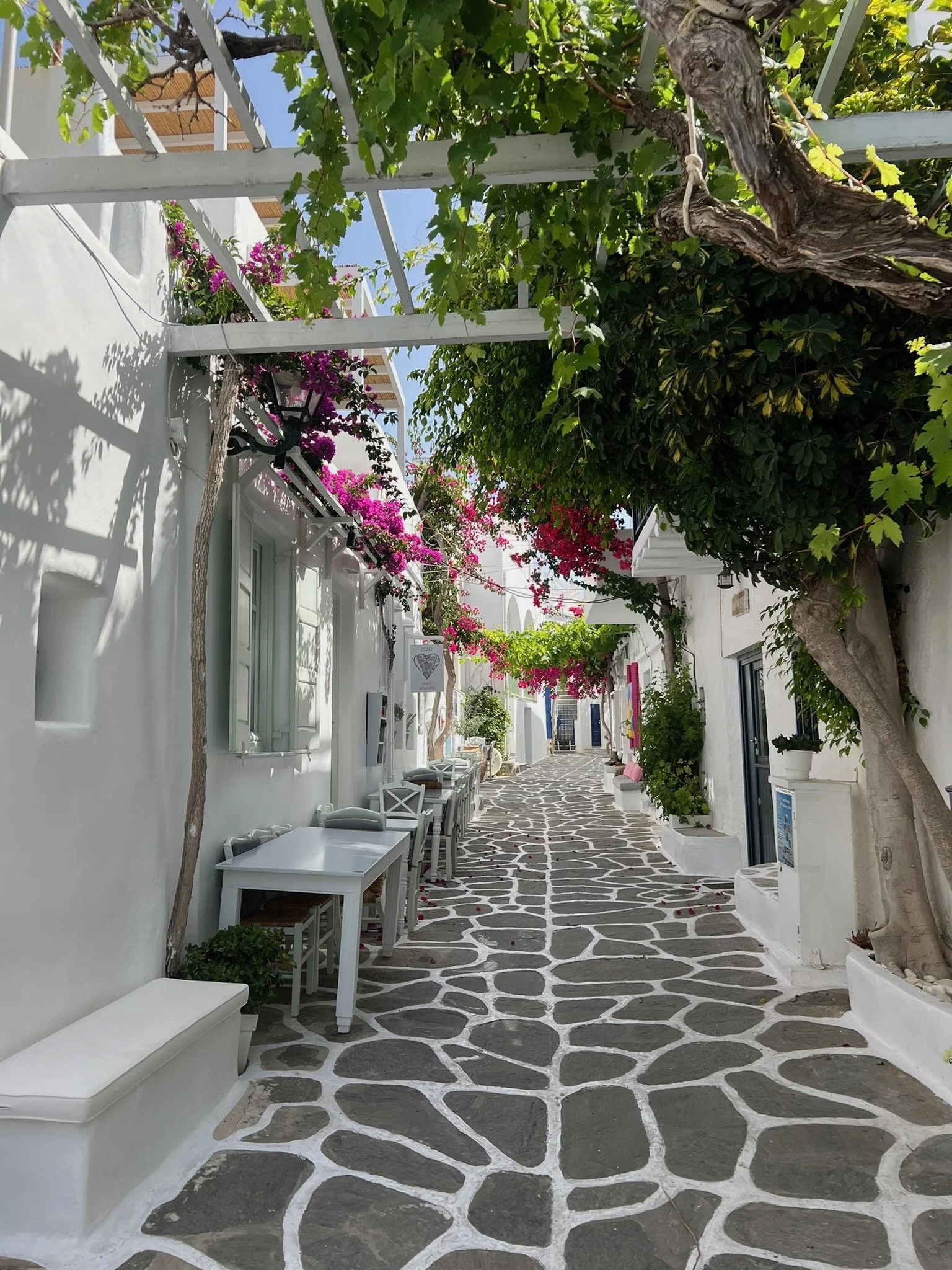 A narrow, picturesque walkway with whitewashed walls, decorated with pink and purple bougainvillaea, lined with small white tables and chairs, and shaded by vines and trees in a Mediterranean village.