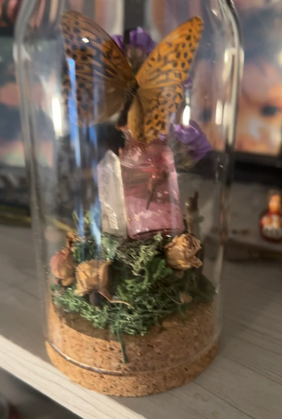 Custom framed or cloche oddity