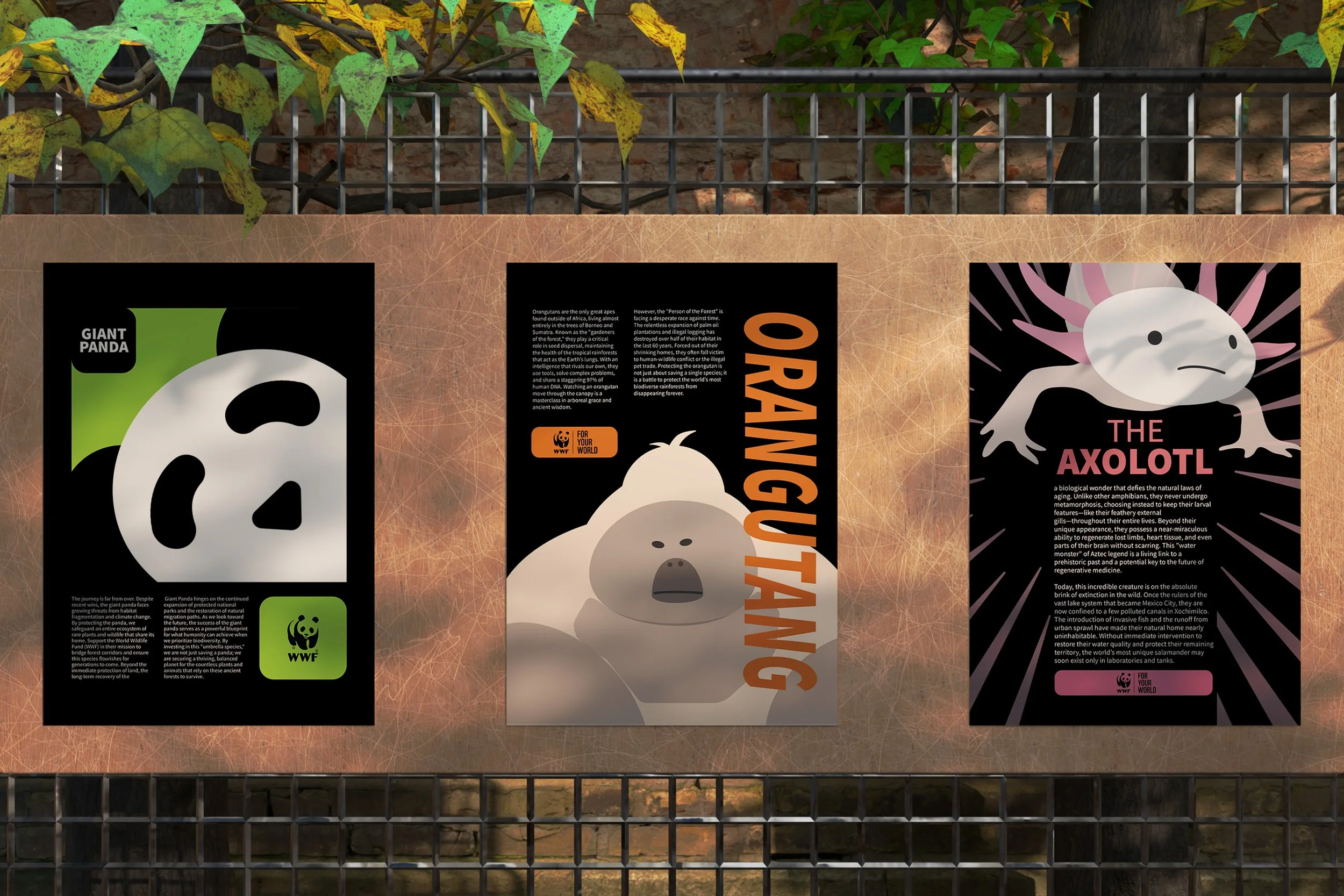 An outdoor display with three posters about wildlife, featuring illustrations of a giant panda, an orangutan, and an axolotl, with background foliage and a metal fence.