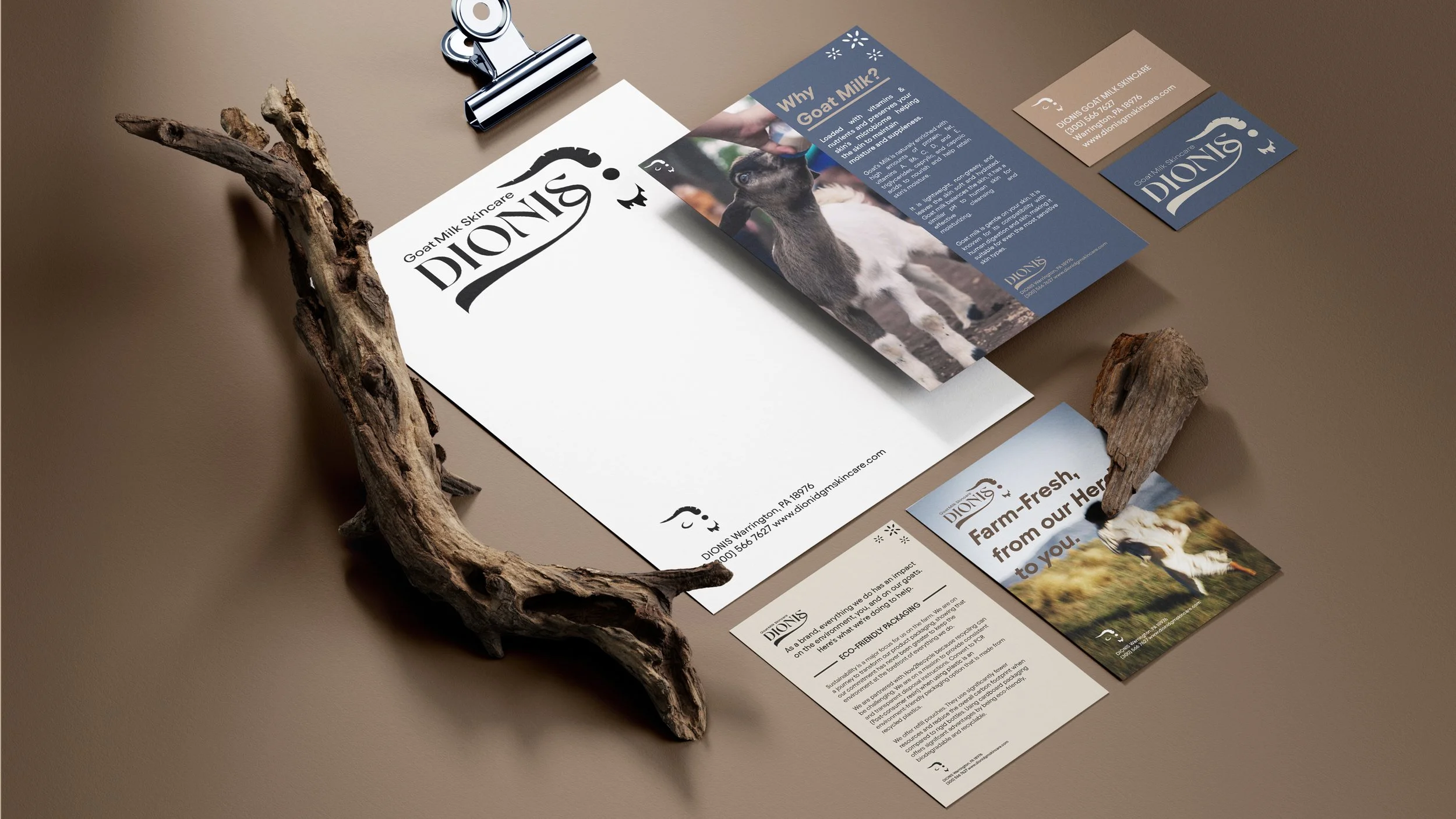 dionis_stationary 16x19.jpg