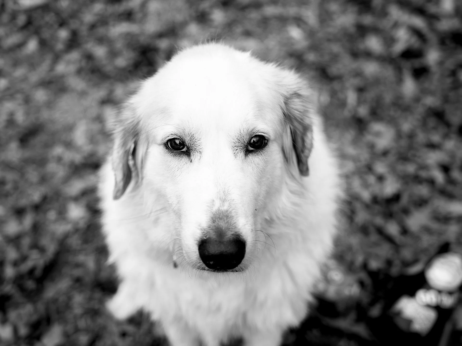 winter camping -4.jpg