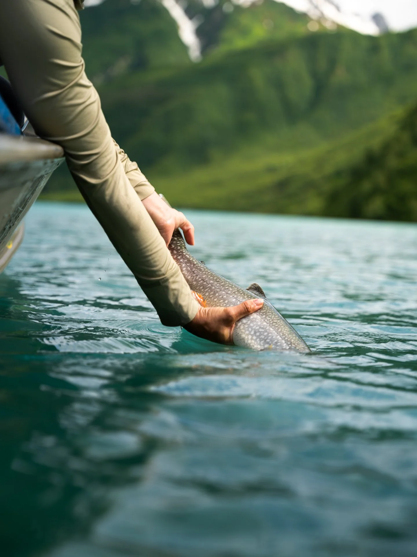 golden hour release .jpg