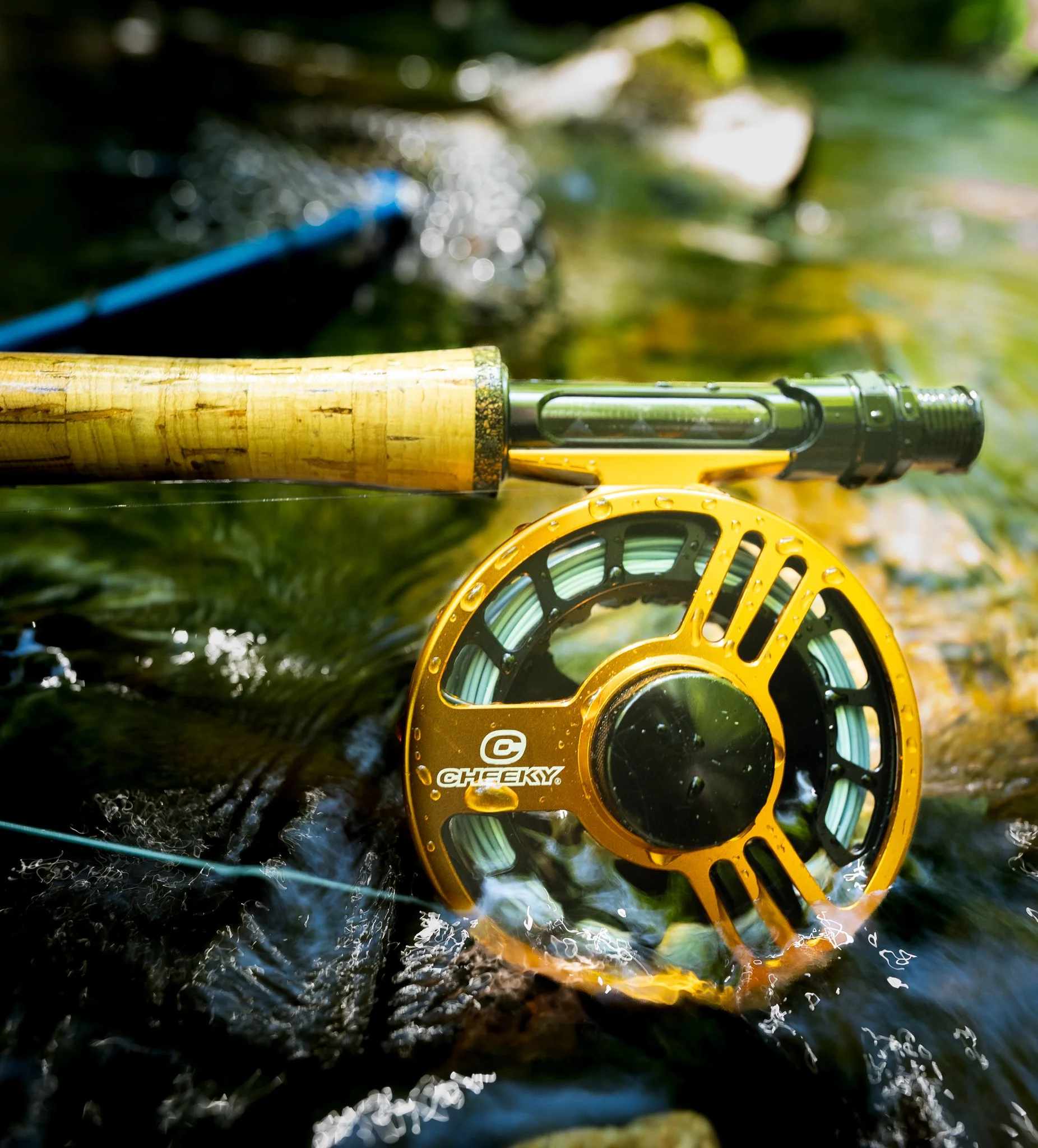 river dip. Launch -2.jpg