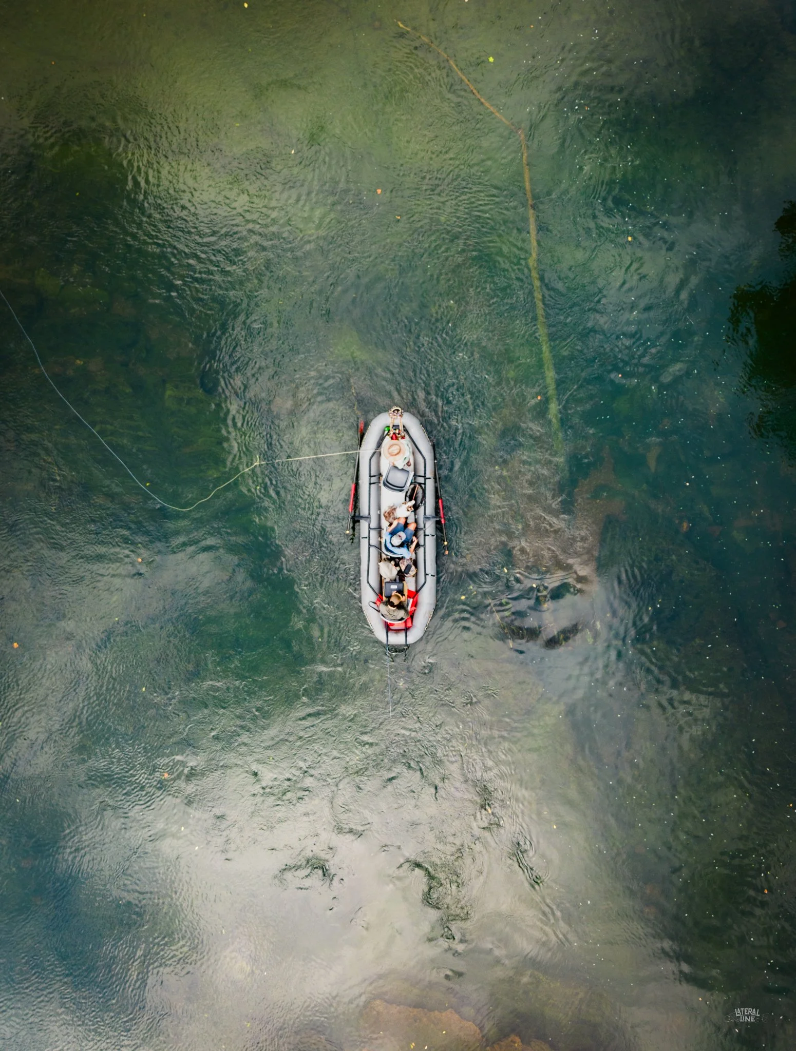 throwback series .jpg