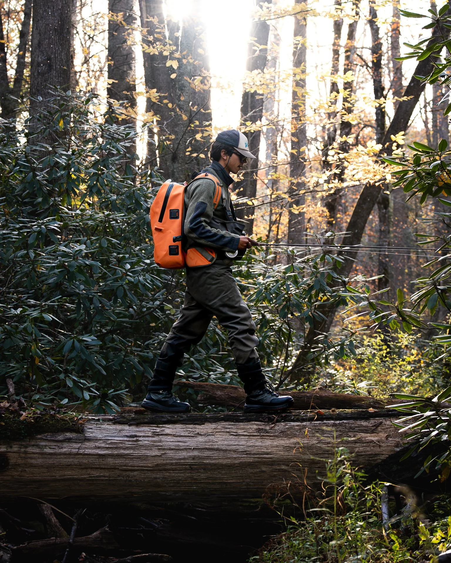 fall fishpond -4.jpg