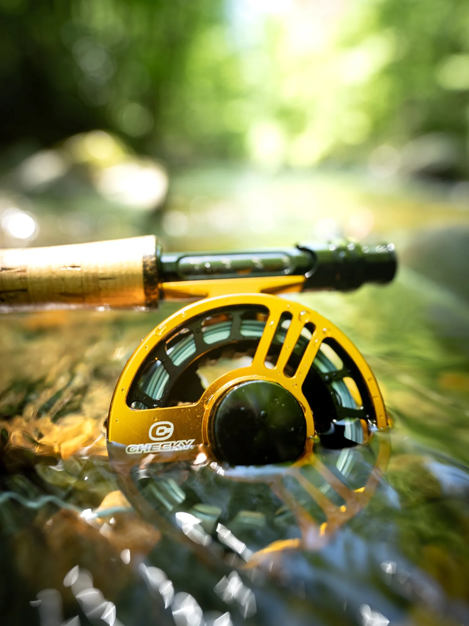 river dip. Launch .jpg