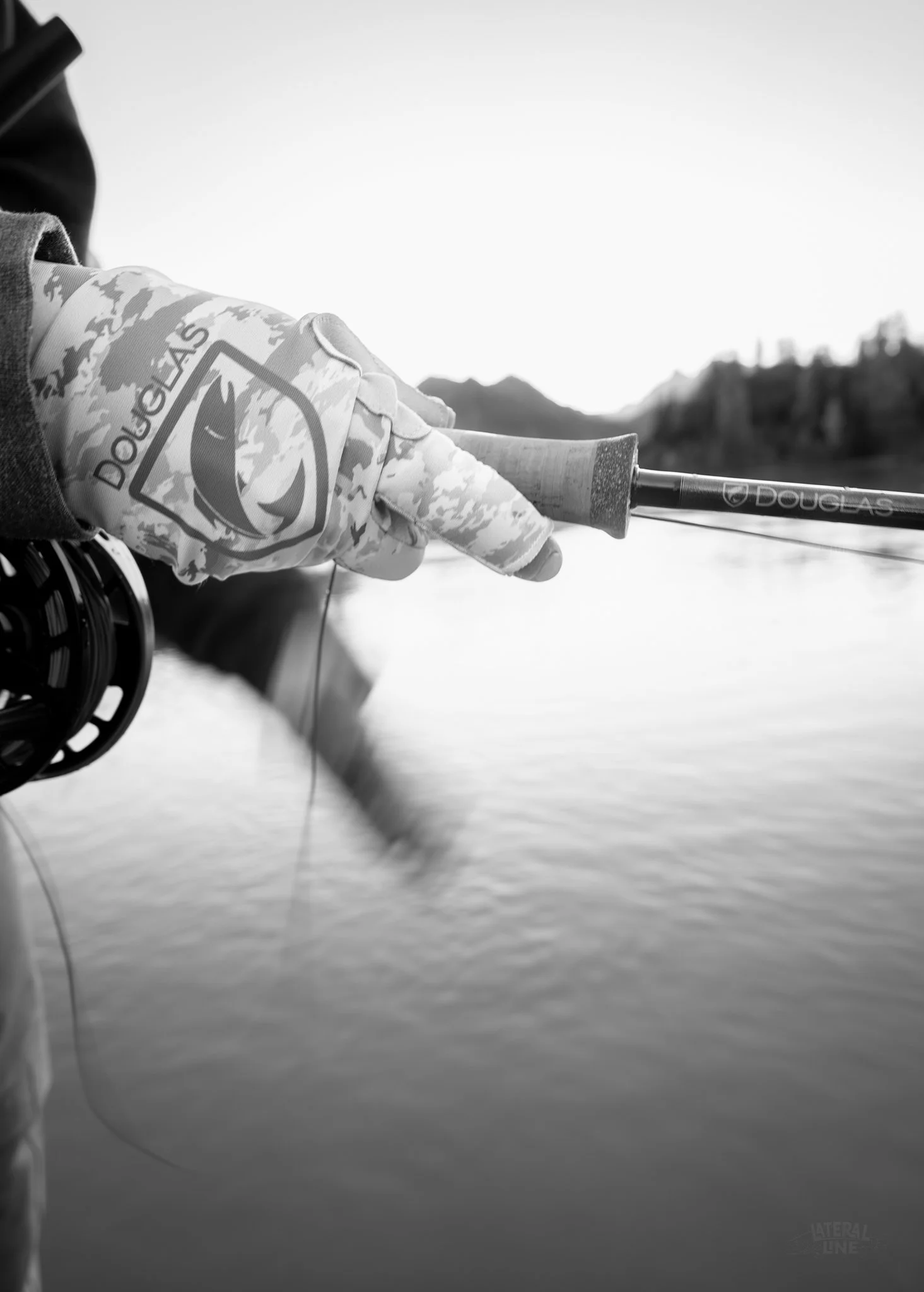 bNw Douglas motion  .jpg