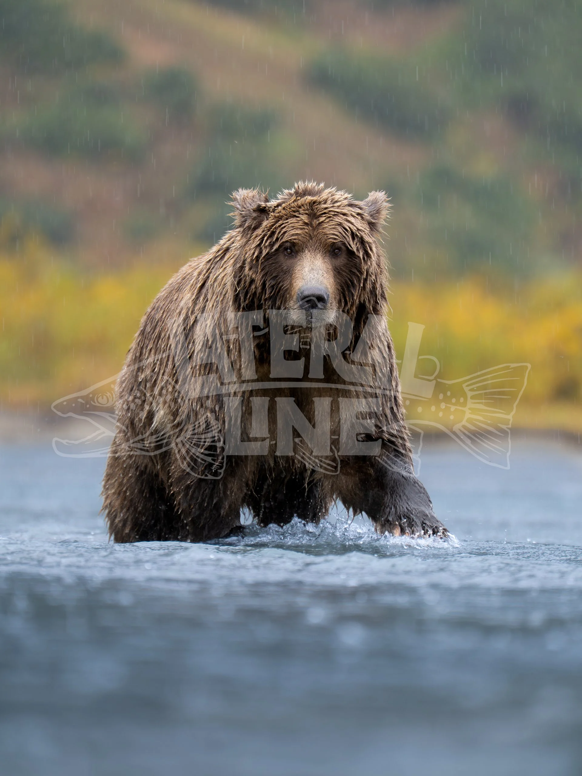 Rain Dance