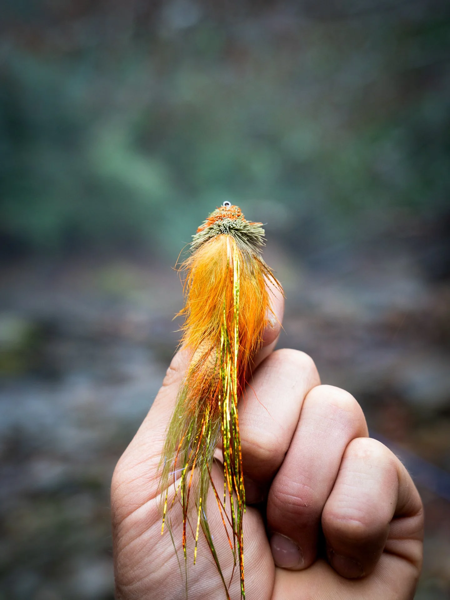 season of the browns RE.jpg