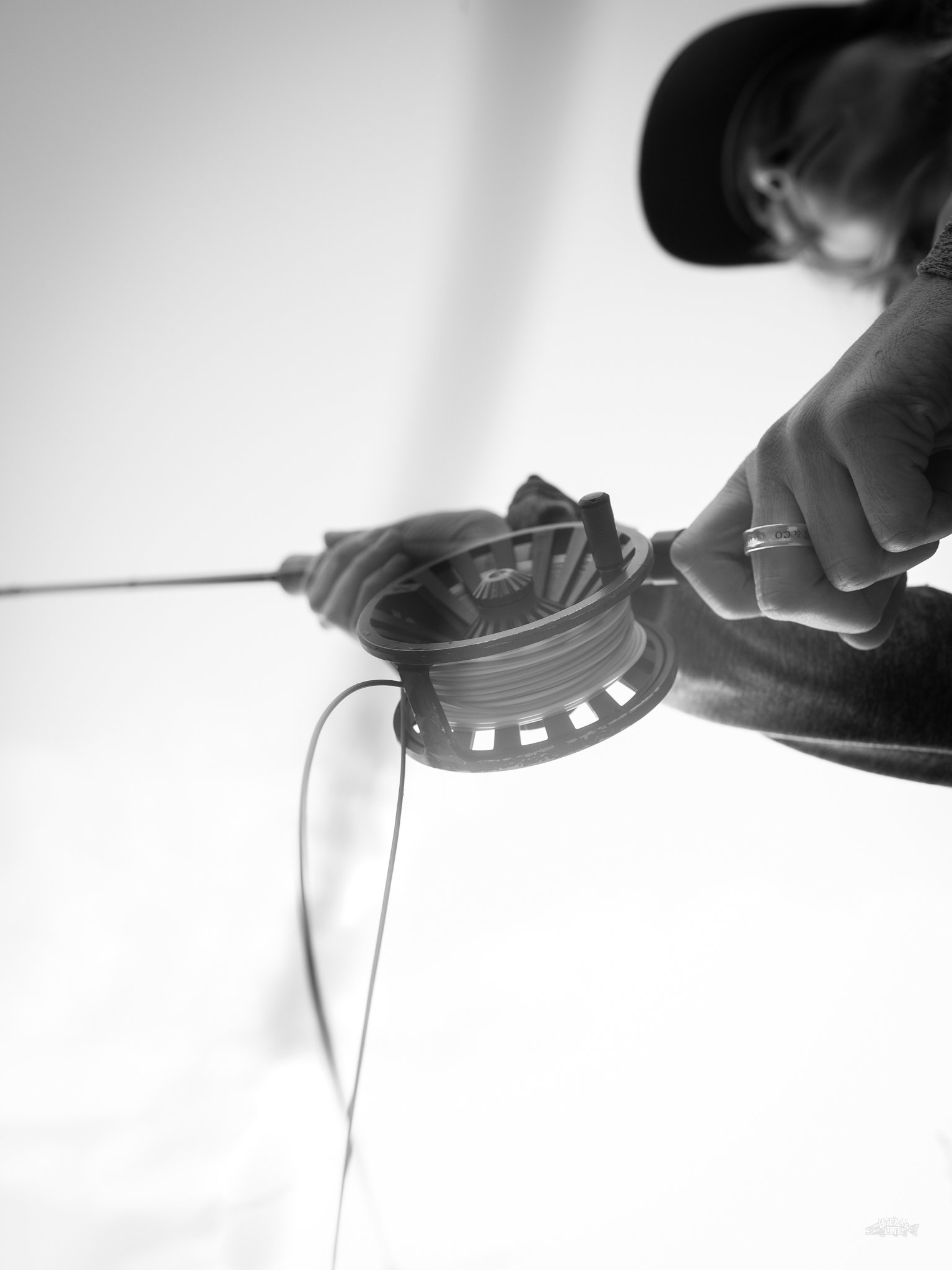 things are looking up .jpg