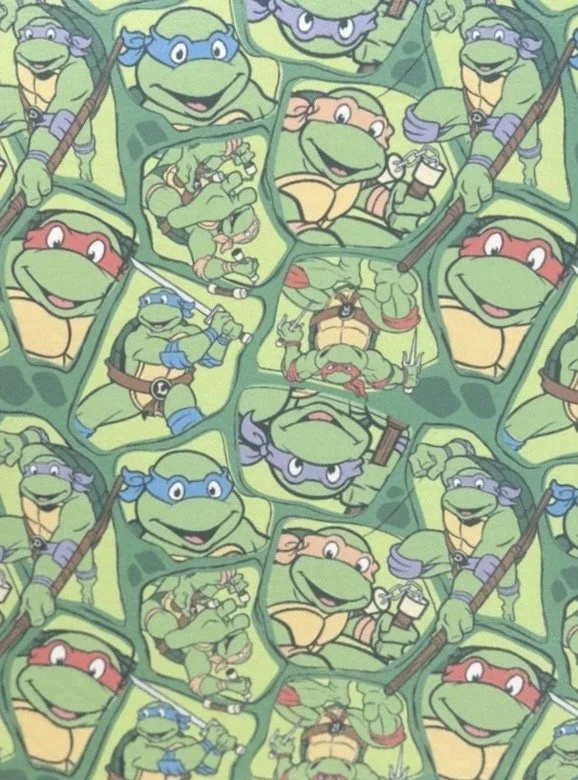 ninja turtles.jpg