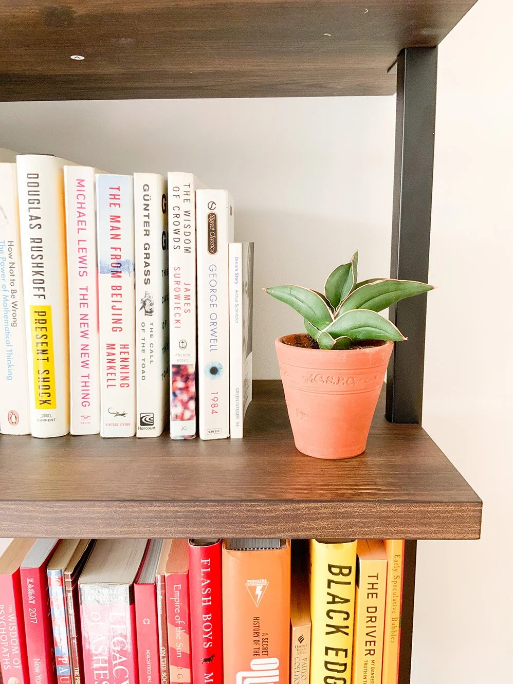 A bookshelf with a pink potted succulent plant on a wooden shelf.
