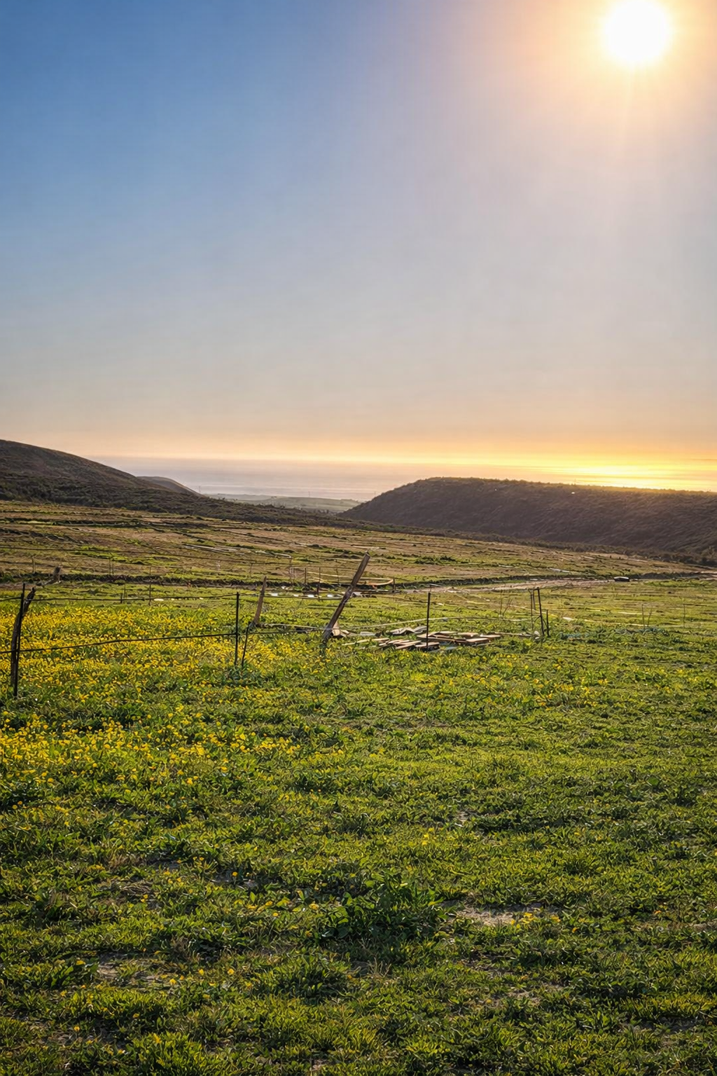 ChatGPT Image 15 ene 2026, 03_28_56 p.m..png