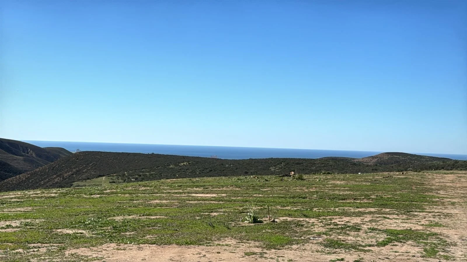 WhatsApp Image 2026-01-11 at 11.21.12 AM.jpeg