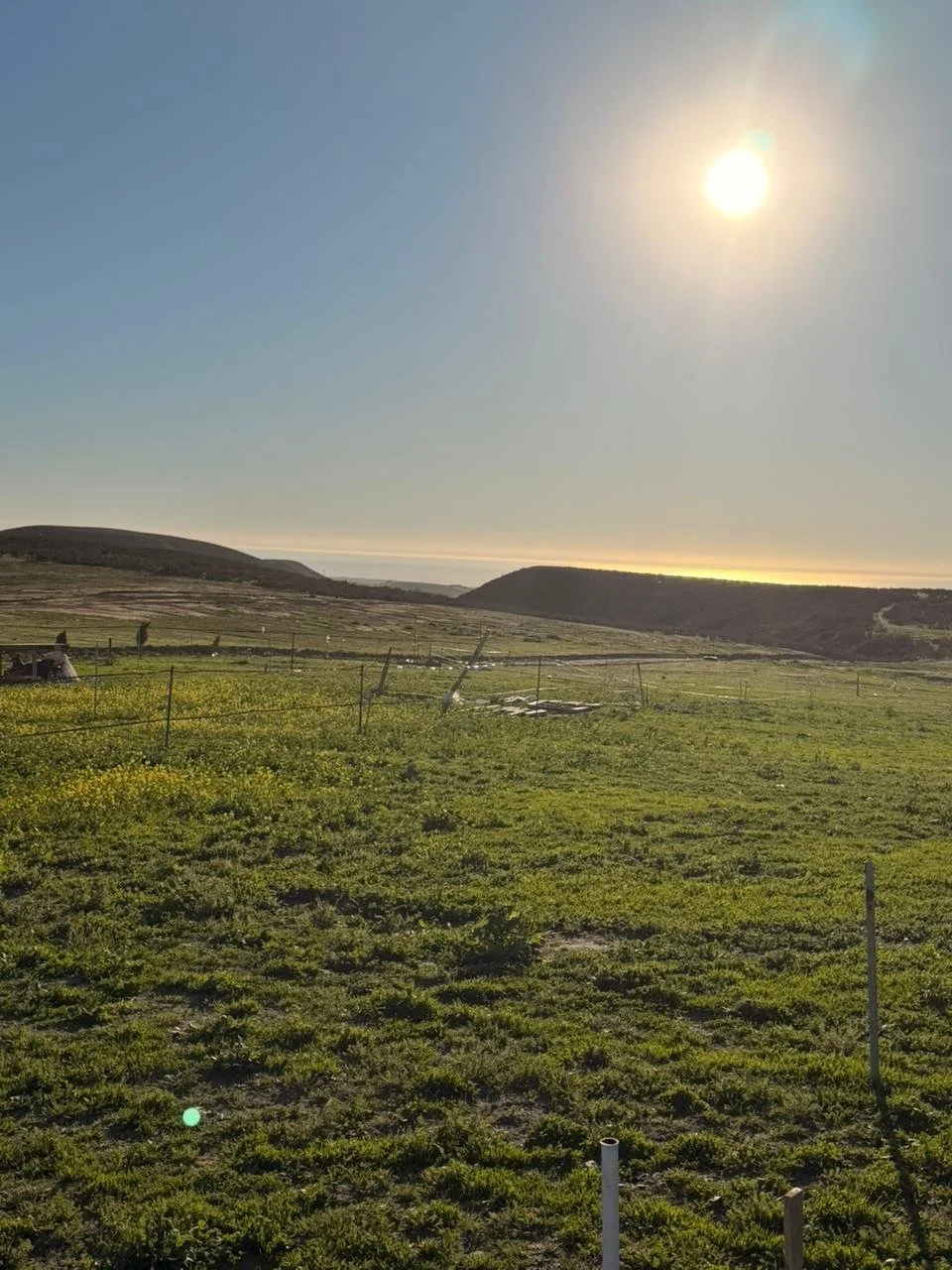 WhatsApp Image 2026-01-15 at 11.53.24 AM (2).jpeg