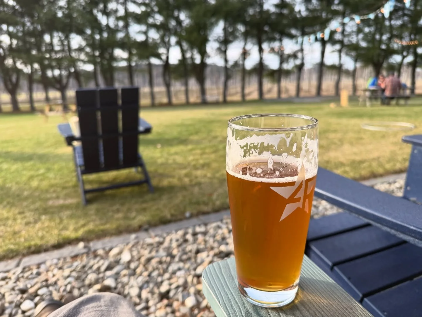 The world may be crumbling around us but at least western Mass and southern Vermont known collectively (by me) as Verchusetts (tm) continues to provide ample distractions. New pizza at @fourstarbeer @thereardefrosters and @moonhollowmusic then @stude