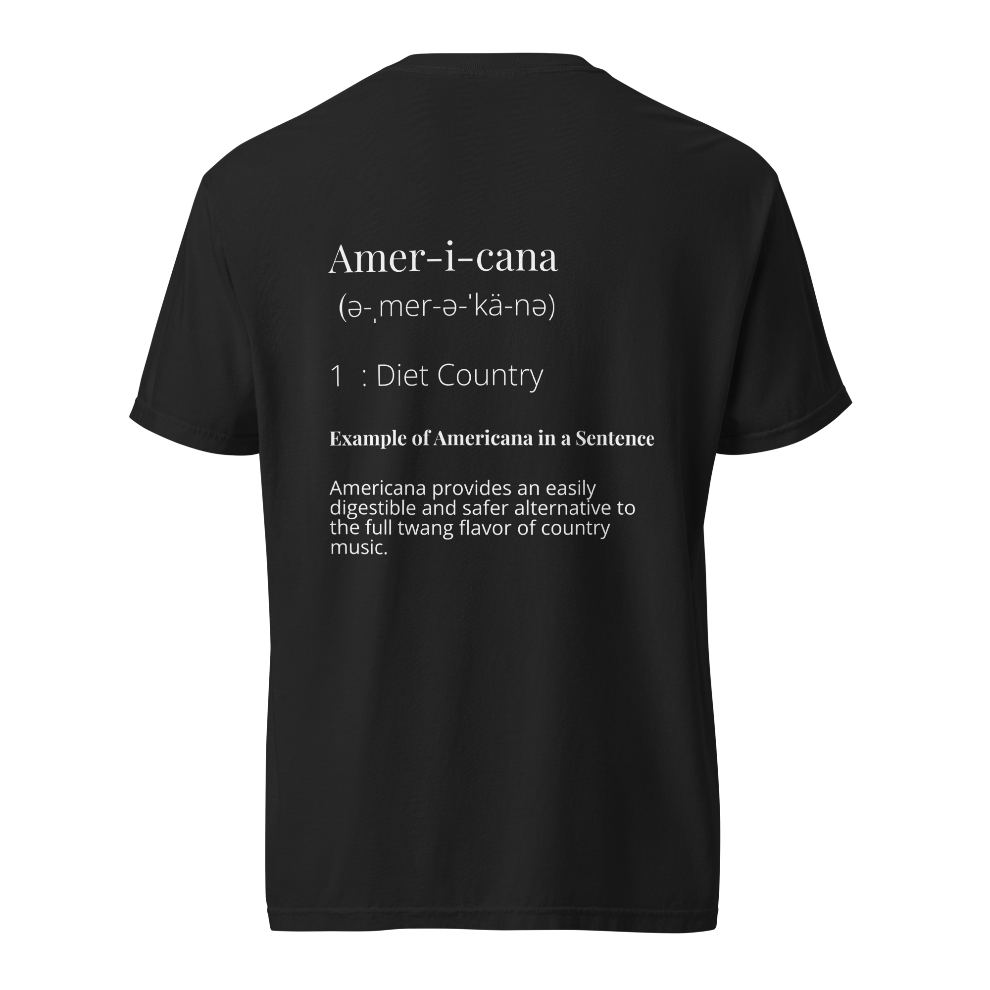 unisex-garment-dyed-heavyweight-t-shirt-black-back-6a4f8d66da034.png