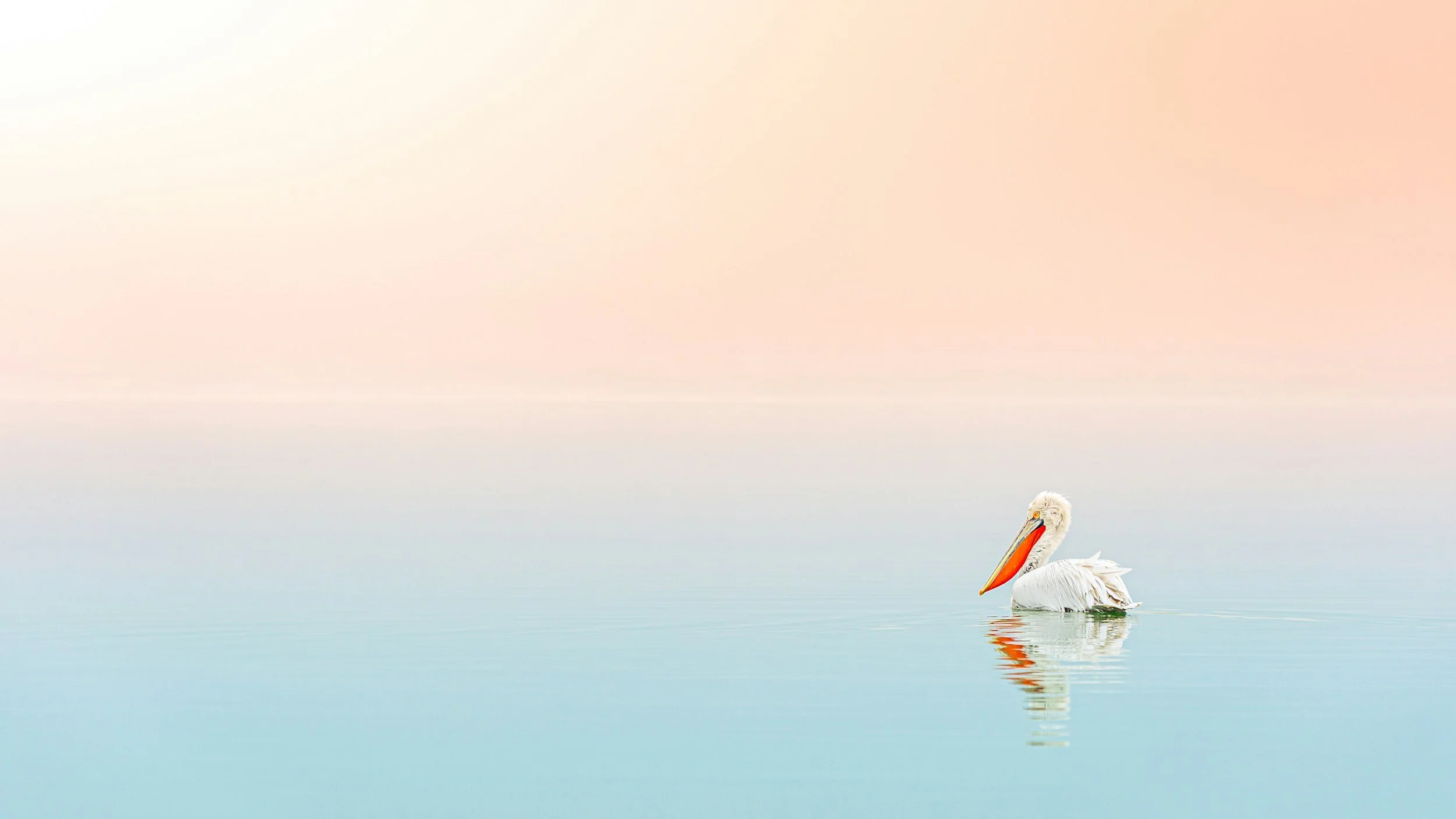 soothing background of yellow orange purple and blue