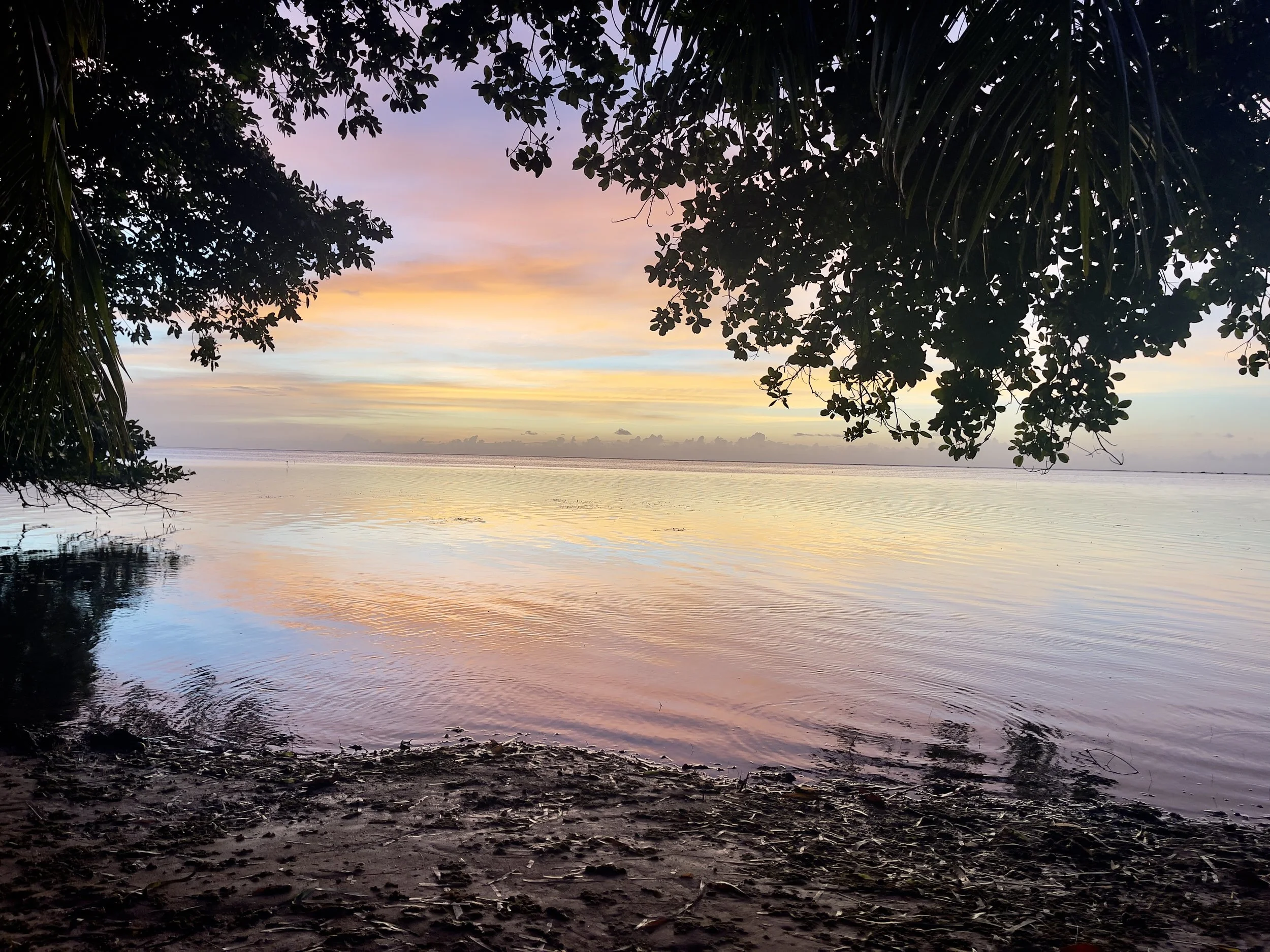 A small break to appreciate the small things in life.