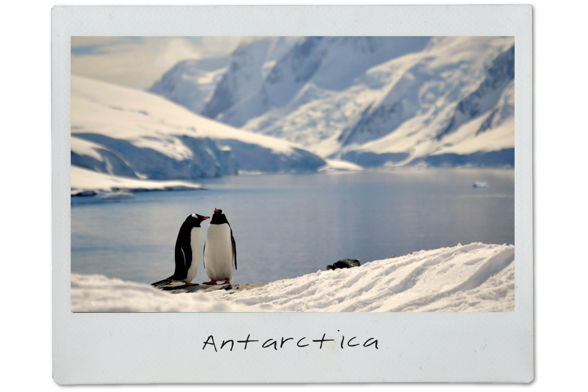 Two penguins standing on snow near a body of water with snowy mountains in the background, labeled 'Antarctica.'