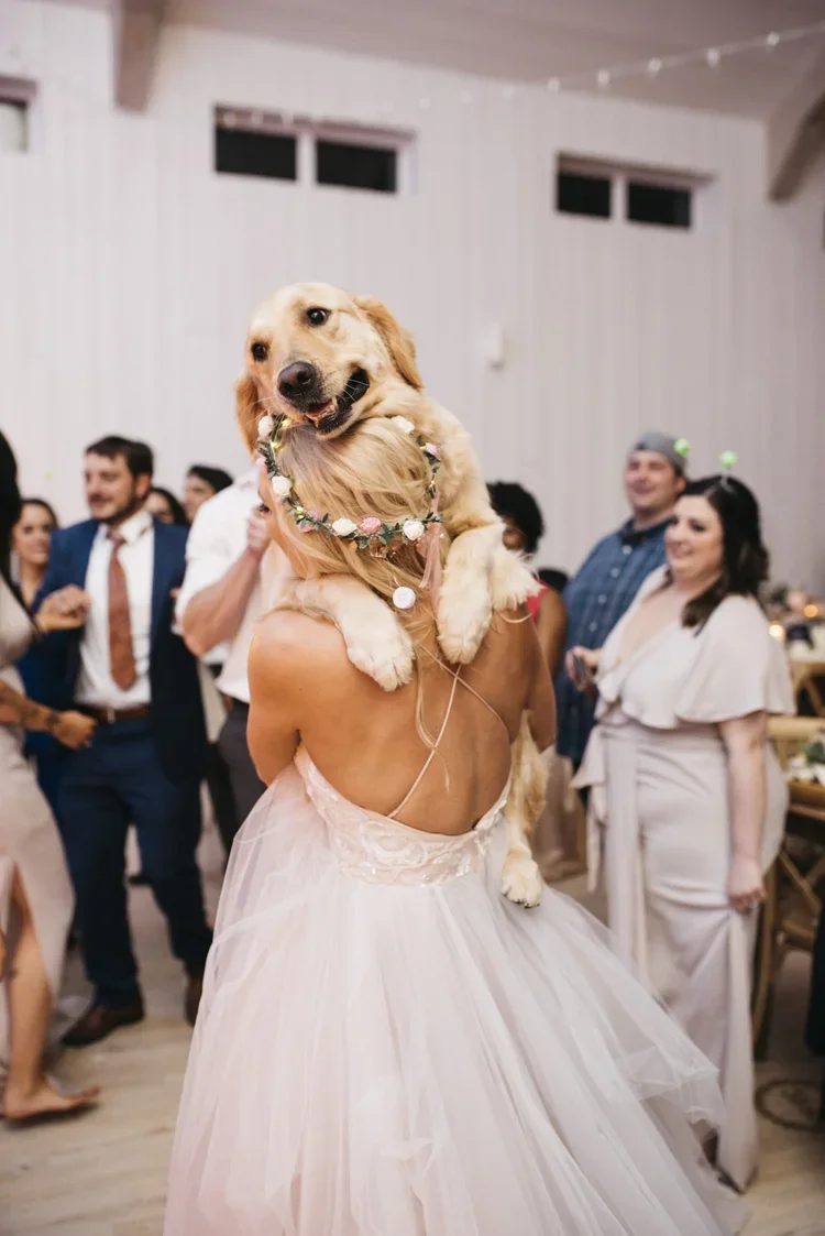 A woman in a gown holding a dog with a floral collar at a wedding reception with guests in the background.