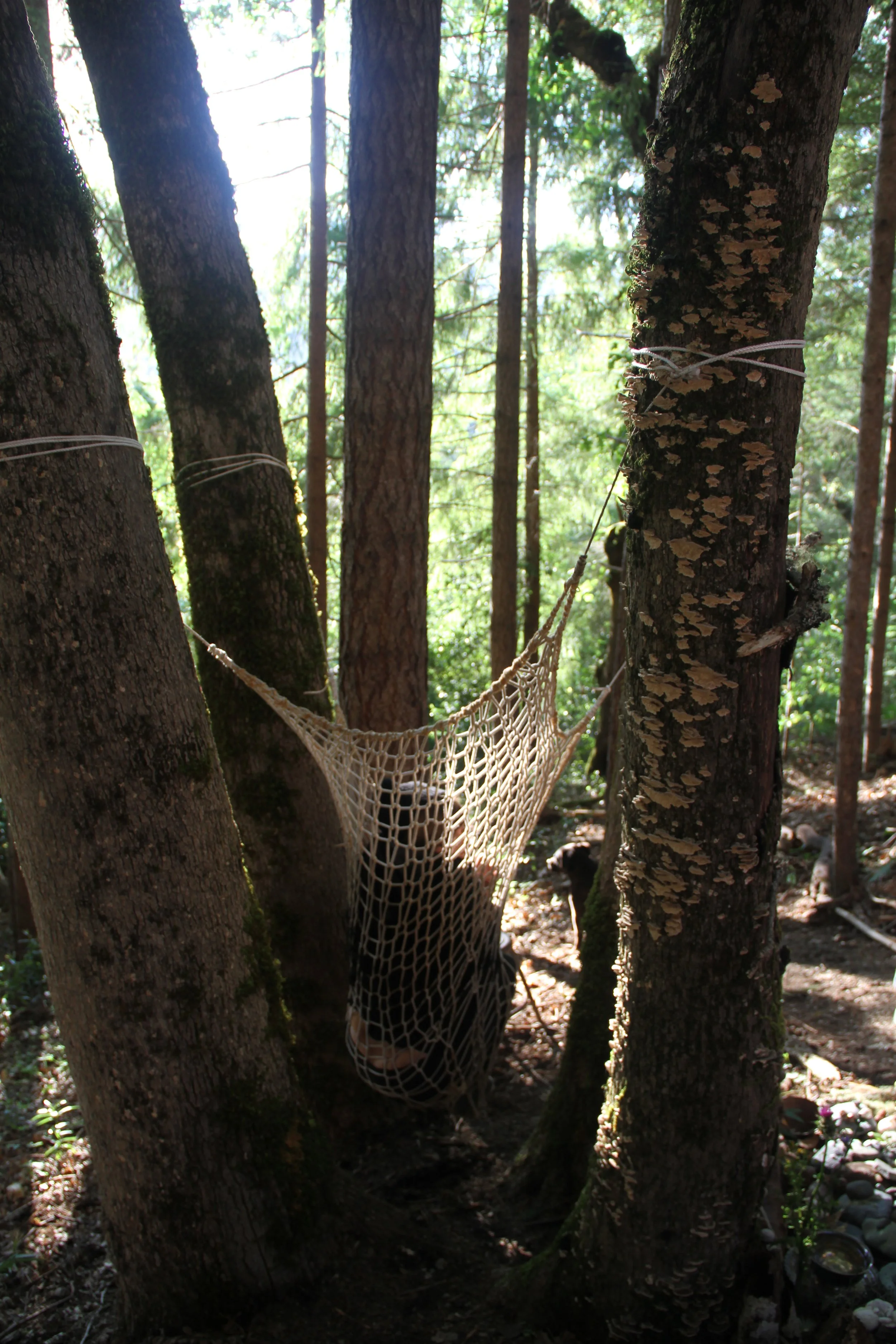 Site specific installation - Fancyland Artist Residency Arcada, CA. Collaboration with Sarai Black.
handmade knitting needles, rope, usnea plant dye, handspun and dyed fiber.