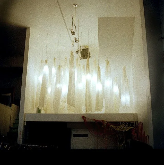 Installation at Rock Paper Scissors Collective, Oakland, CA
Wax, Fabric, Light