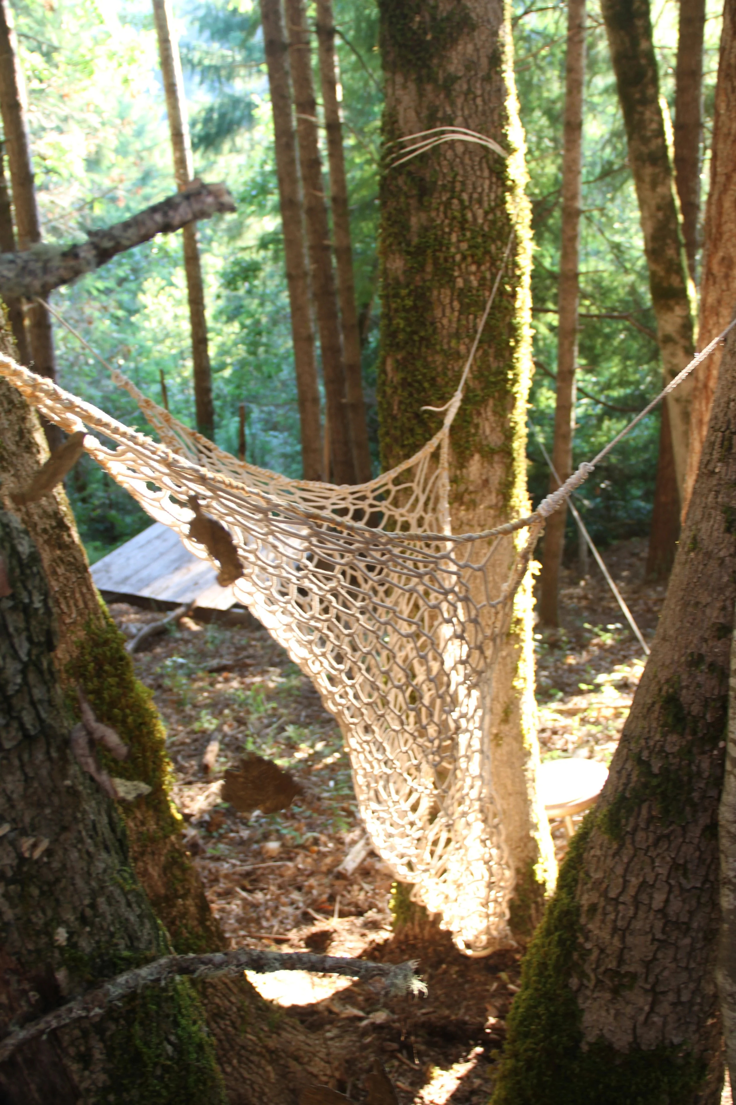 Site specific installation - Fancyland Artist Residency Arcada, CA. Collaboration with Sarai Black.
handmade knitting needles, rope, usnea plant dye, handspun and dyed fiber.