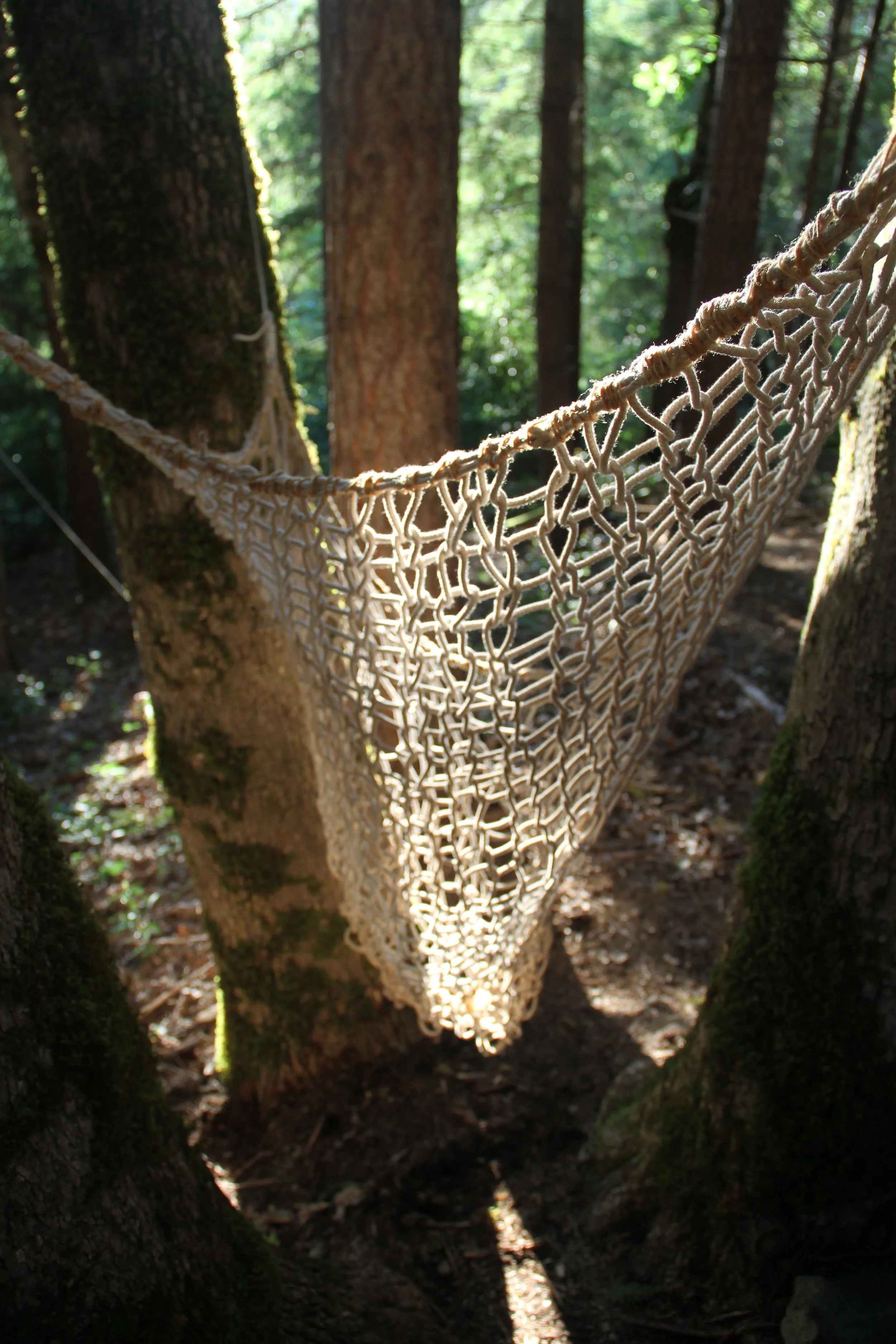 Site specific installation - Fancyland Artist Residency Arcada, CA. Collaboration with Sarai Black.
handmade knitting needles, rope, usnea plant dye, handspun and dyed fiber.