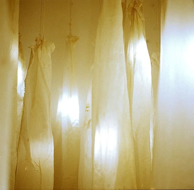 Installation at Rock Paper Scissors Collective, Oakland, CA
Wax, Fabric, Light