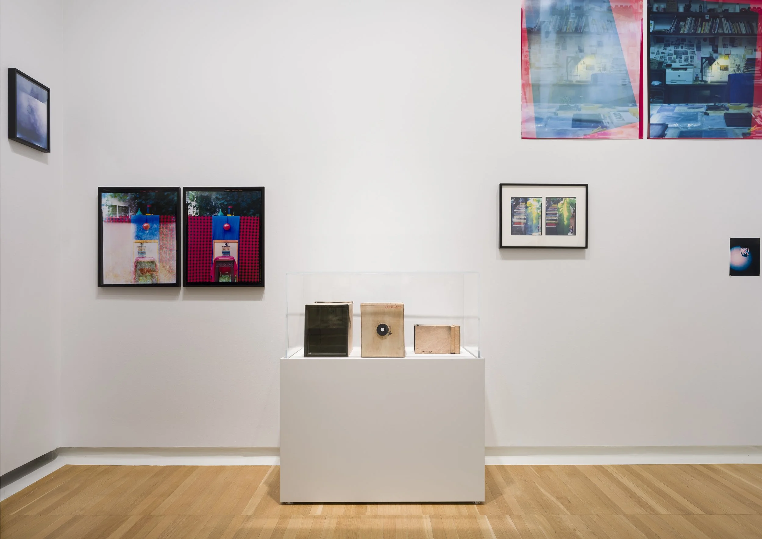 Installation view (detail) of Eric Gyamfi, Stomata:
Dr. Mahashe’s Open Frames (2026), in If the
word we, 59th Carnegie International, Carnegie
Museum of Art, Pittsburgh (May 2, 2026–January
3, 2027); photo: Zachary Riggleman / © Carnegie
Museum of Ar