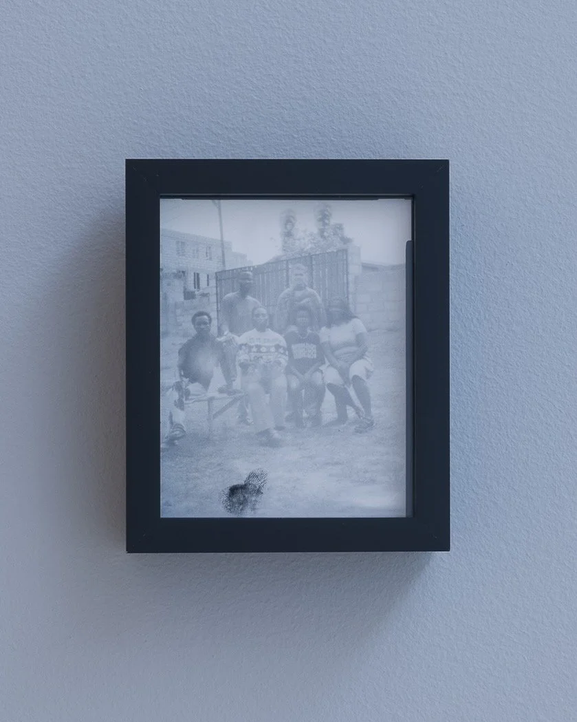 Installation view (detail) of Eric Gyamfi, Stomata:
Dr. Mahashe’s Open Frames (2026), in If the
word we, 59th Carnegie International, Carnegie
Museum of Art, Pittsburgh (May 2, 2026–January
3, 2027); photo: Zachary Riggleman / © Carnegie
Museum of Ar