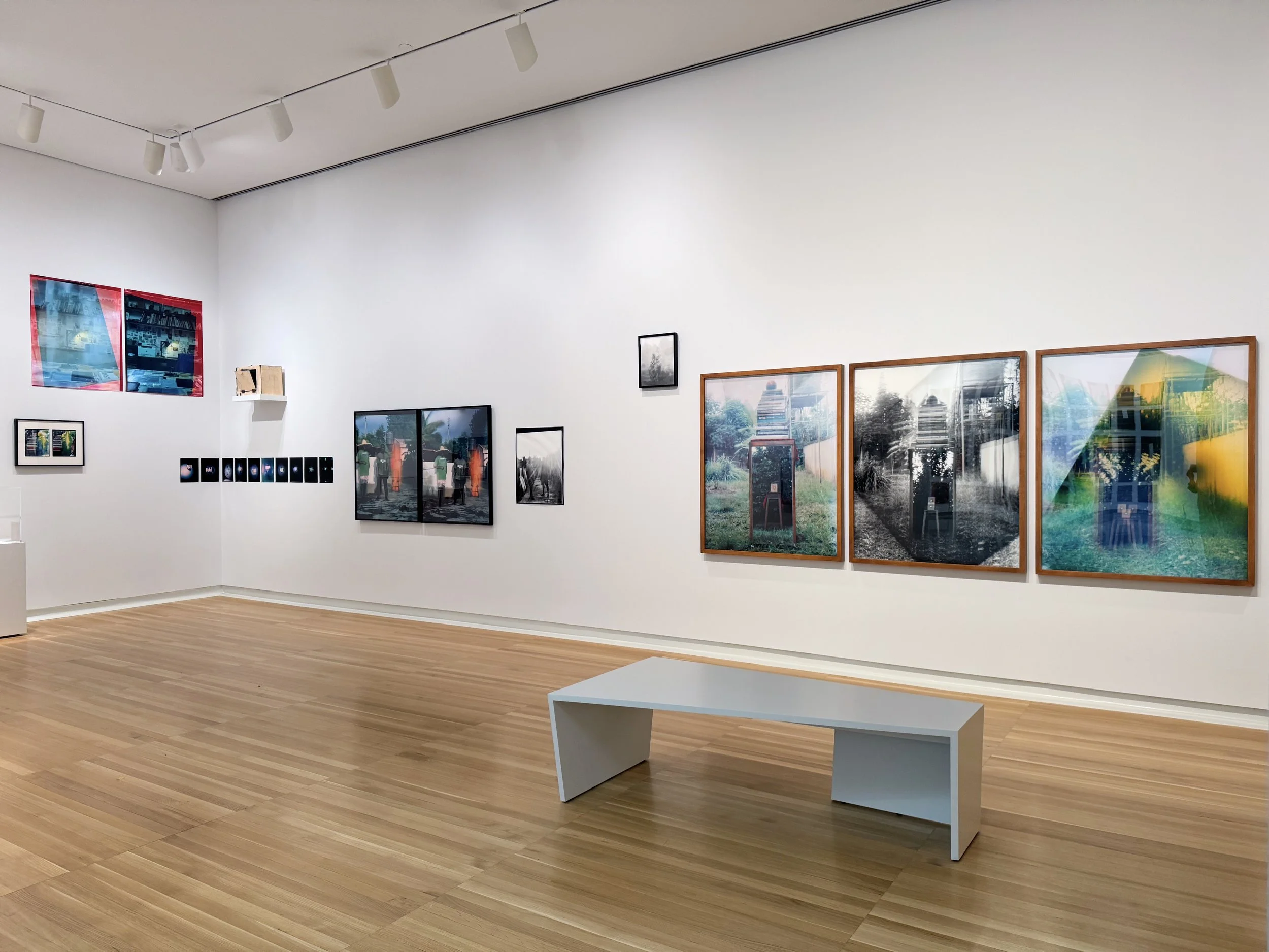 Installation view (detail) of Eric Gyamfi, Stomata:
Dr. Mahashe’s Open Frames (2026), in If the
word we, 59th Carnegie International, Carnegie
Museum of Art, Pittsburgh (May 2, 2026–January
3, 2027); photo: Eric Gyamfi
