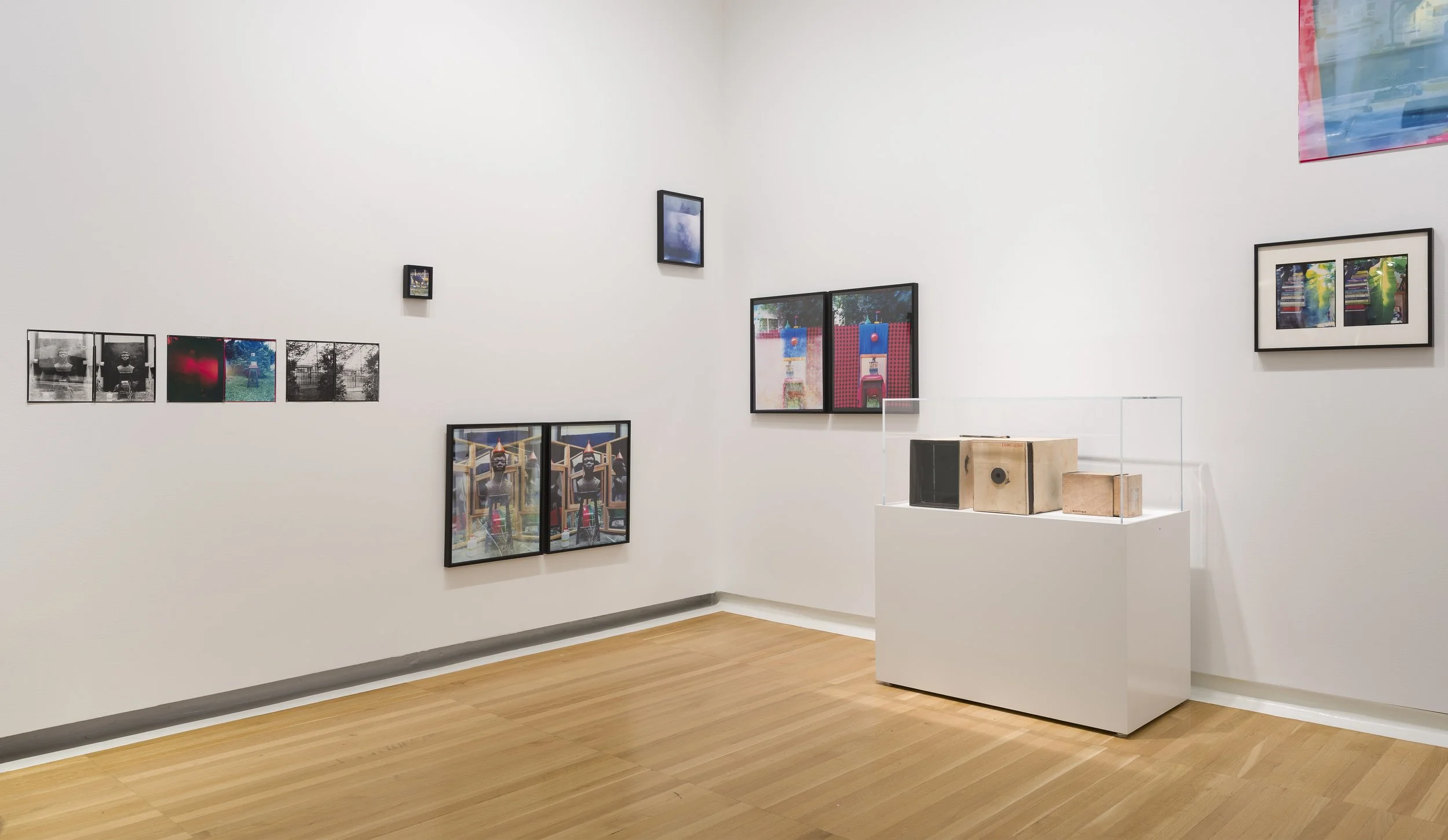 Installation view (detail) of Eric Gyamfi, Stomata:
Dr. Mahashe’s Open Frames (2026), in If the
word we, 59th Carnegie International, Carnegie
Museum of Art, Pittsburgh (May 2, 2026–January
3, 2027); photo: Zachary Riggleman / © Carnegie
Museum of Ar