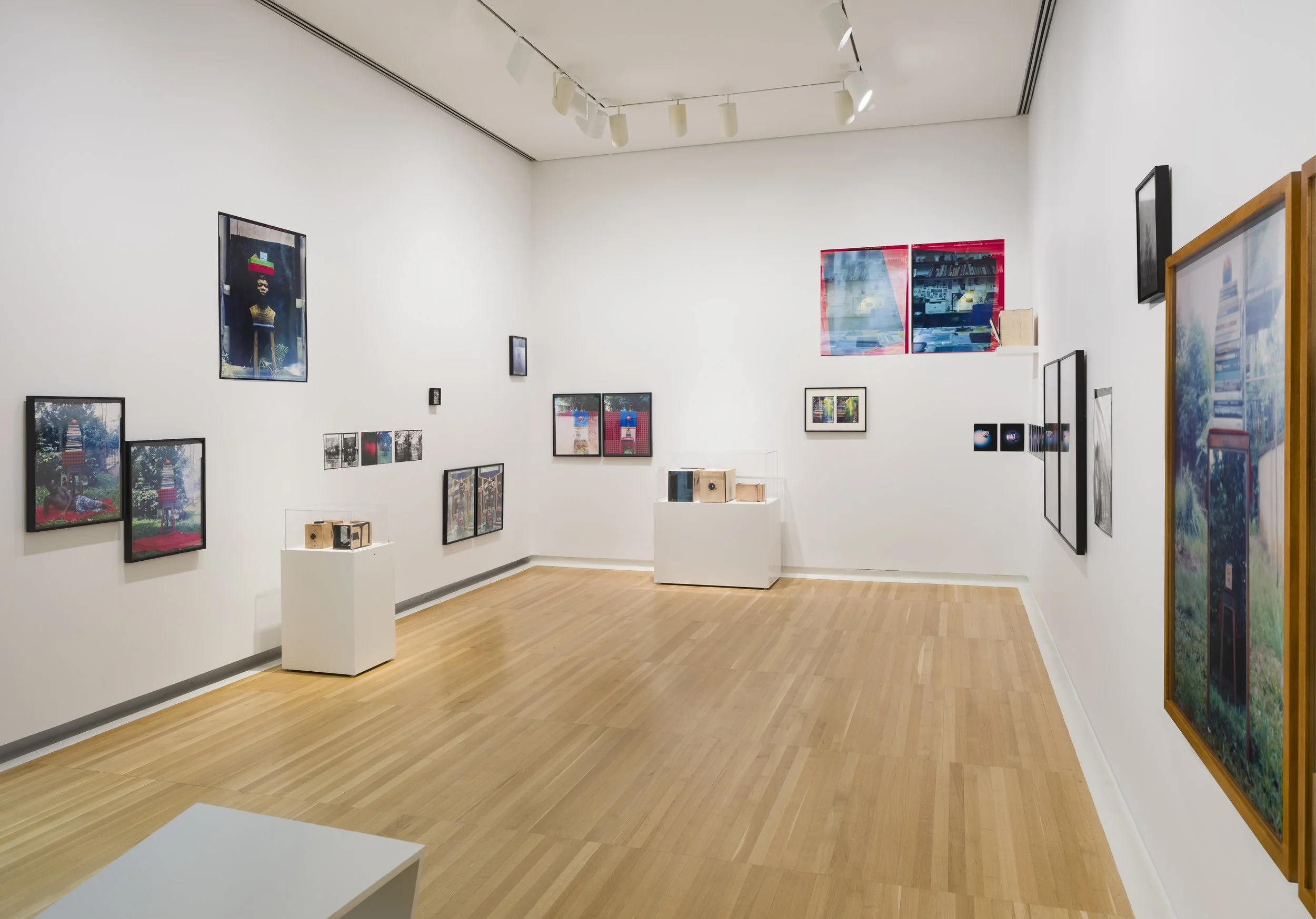 Installation view (detail) of Eric Gyamfi, Stomata:
Dr. Mahashe’s Open Frames (2026), in If the
word we, 59th Carnegie International, Carnegie
Museum of Art, Pittsburgh (May 2, 2026–January
3, 2027); photo: Zachary Riggleman / © Carnegie
Museum of Ar