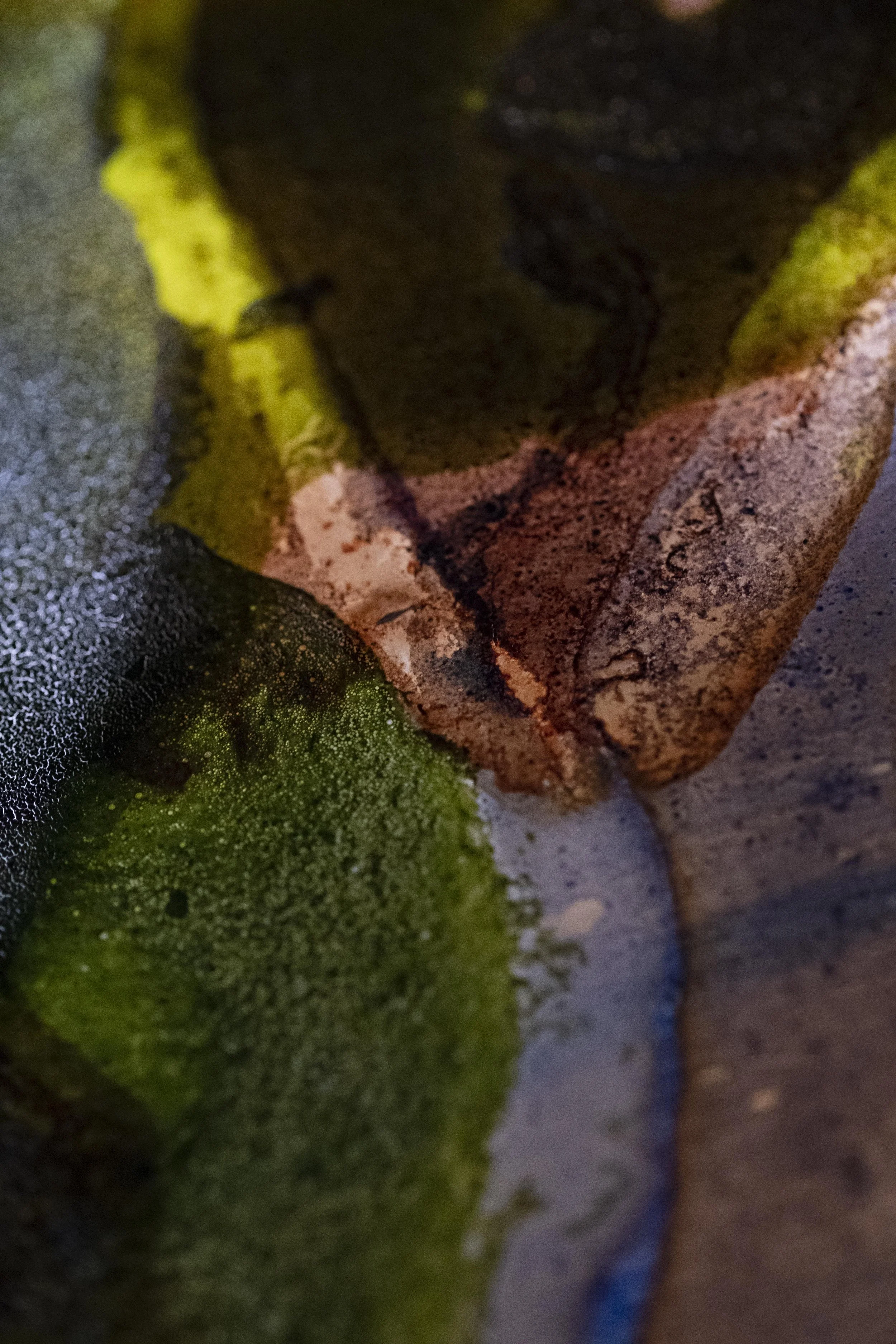 mapping rumours: a cartographer's guide22.jpg