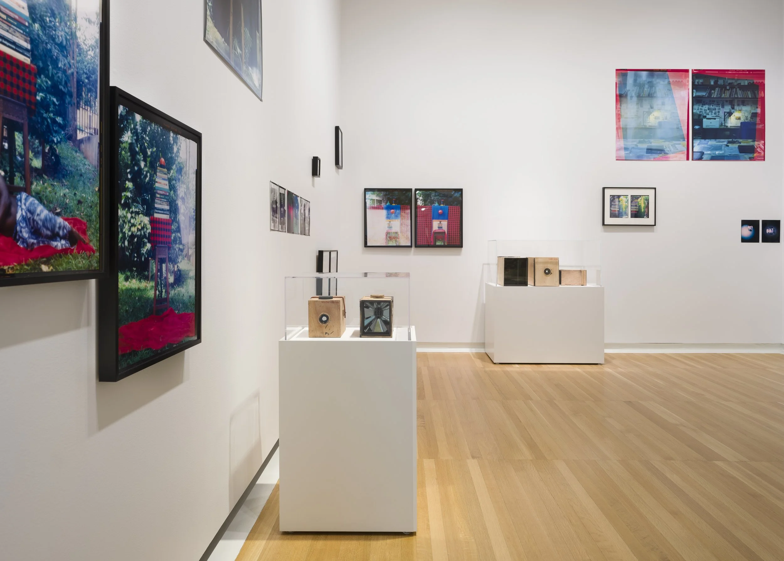 Installation view (detail) of Eric Gyamfi, Stomata:
Dr. Mahashe’s Open Frames (2026), in If the
word we, 59th Carnegie International, Carnegie
Museum of Art, Pittsburgh (May 2, 2026–January
3, 2027); photo: Zachary Riggleman / © Carnegie
Museum of Ar