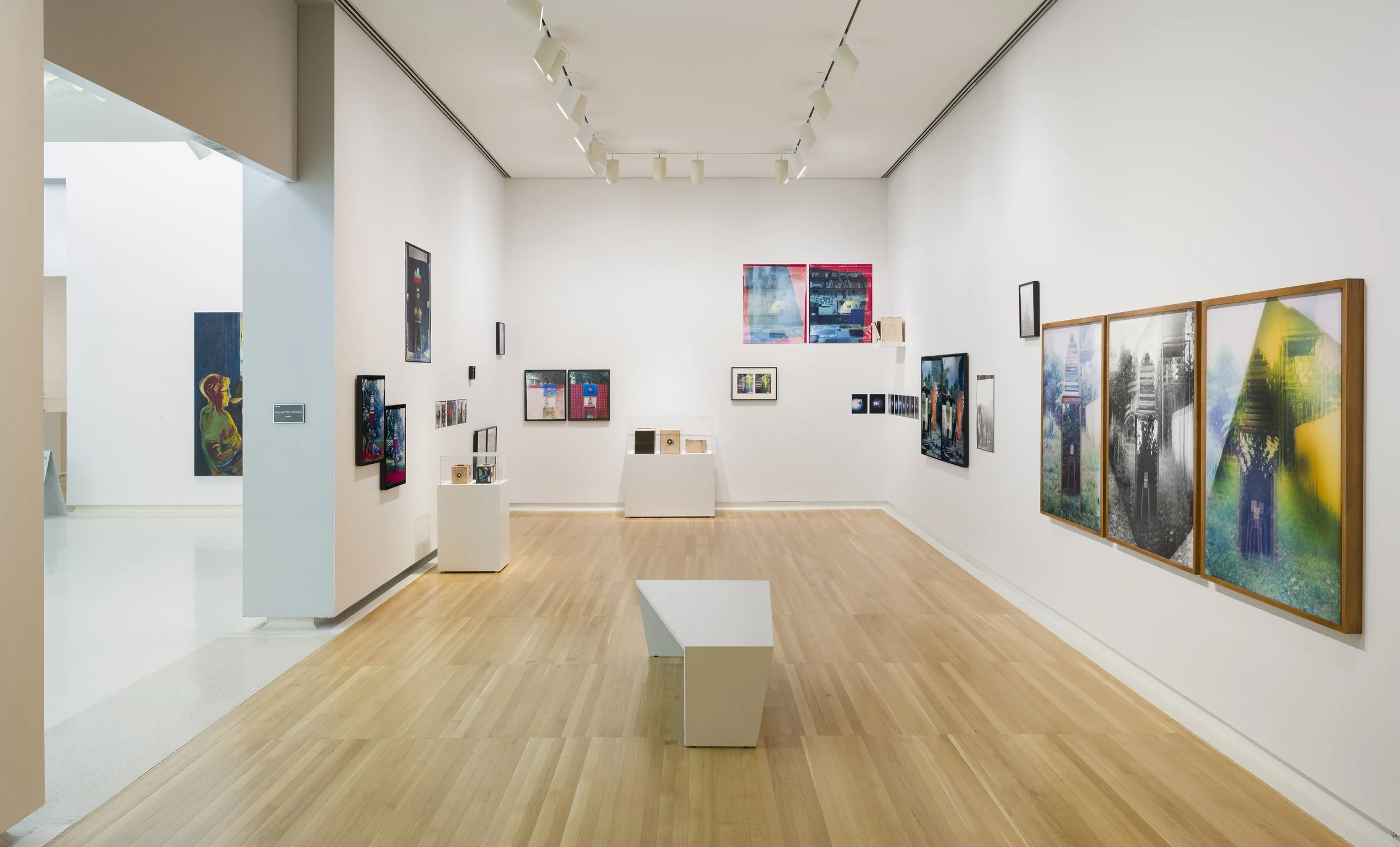 Installation view (detail) of Eric Gyamfi, Stomata:
Dr. Mahashe’s Open Frames (2026), in If the
word we, 59th Carnegie International, Carnegie
Museum of Art, Pittsburgh (May 2, 2026–January
3, 2027); photo: Zachary Riggleman / © Carnegie
Museum of Ar