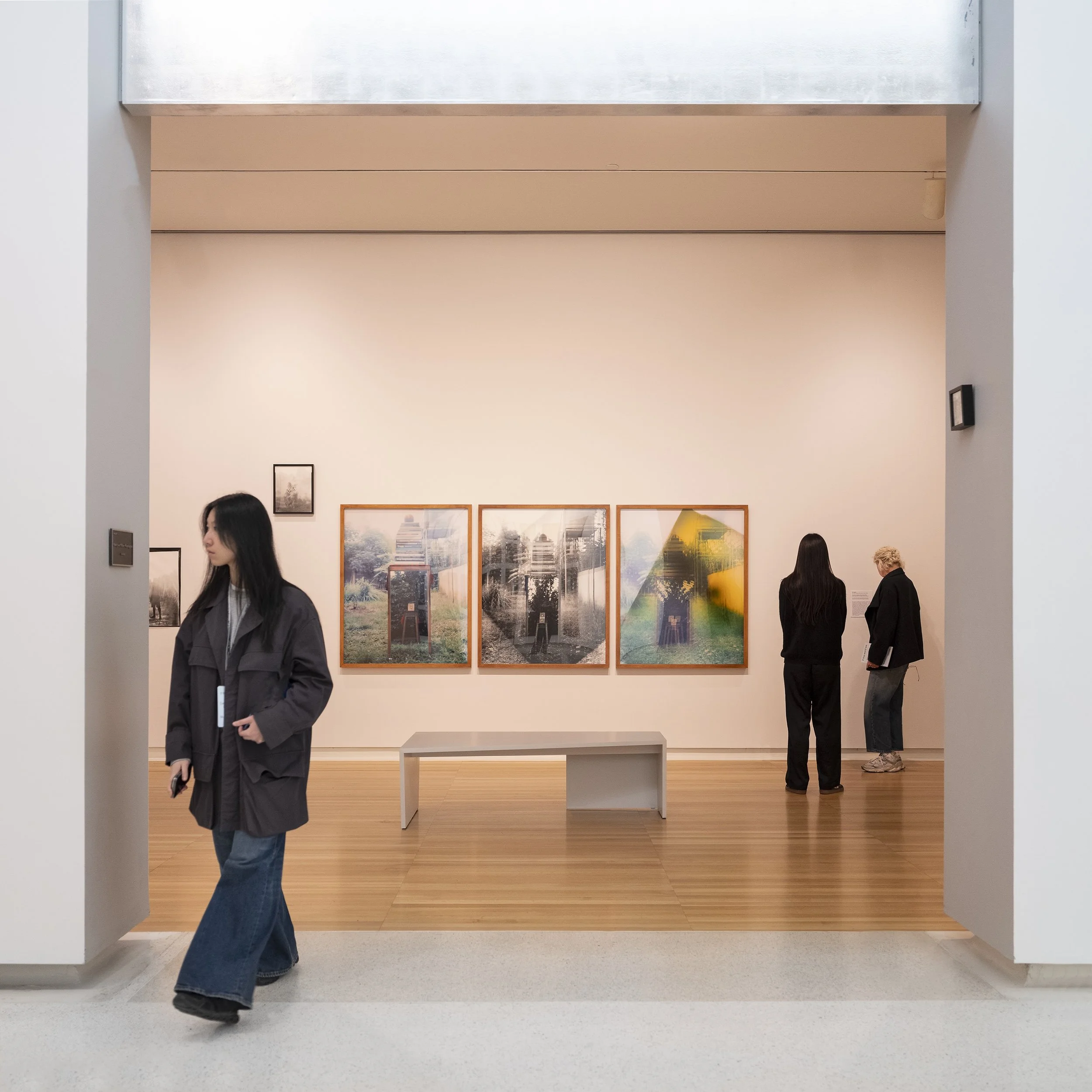 Installation view (detail) of Eric Gyamfi, Stomata:
Dr. Mahashe’s Open Frames (2026), in If the
word we, 59th Carnegie International, Carnegie
Museum of Art, Pittsburgh (May 2, 2026–January
3, 2027); photo: Zachary Riggleman / © Carnegie
Museum of Ar