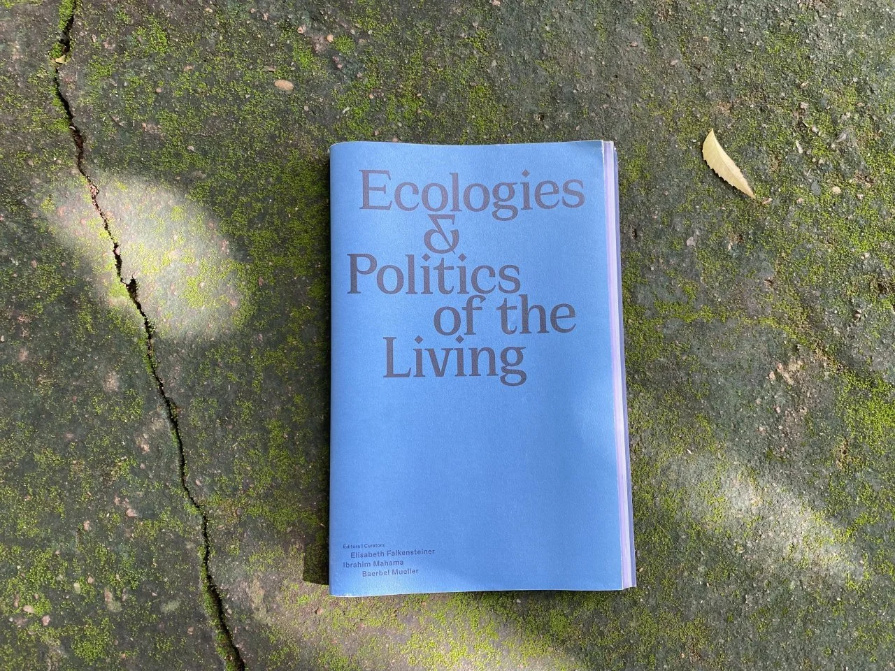 ecologies and politics of the living, 2021