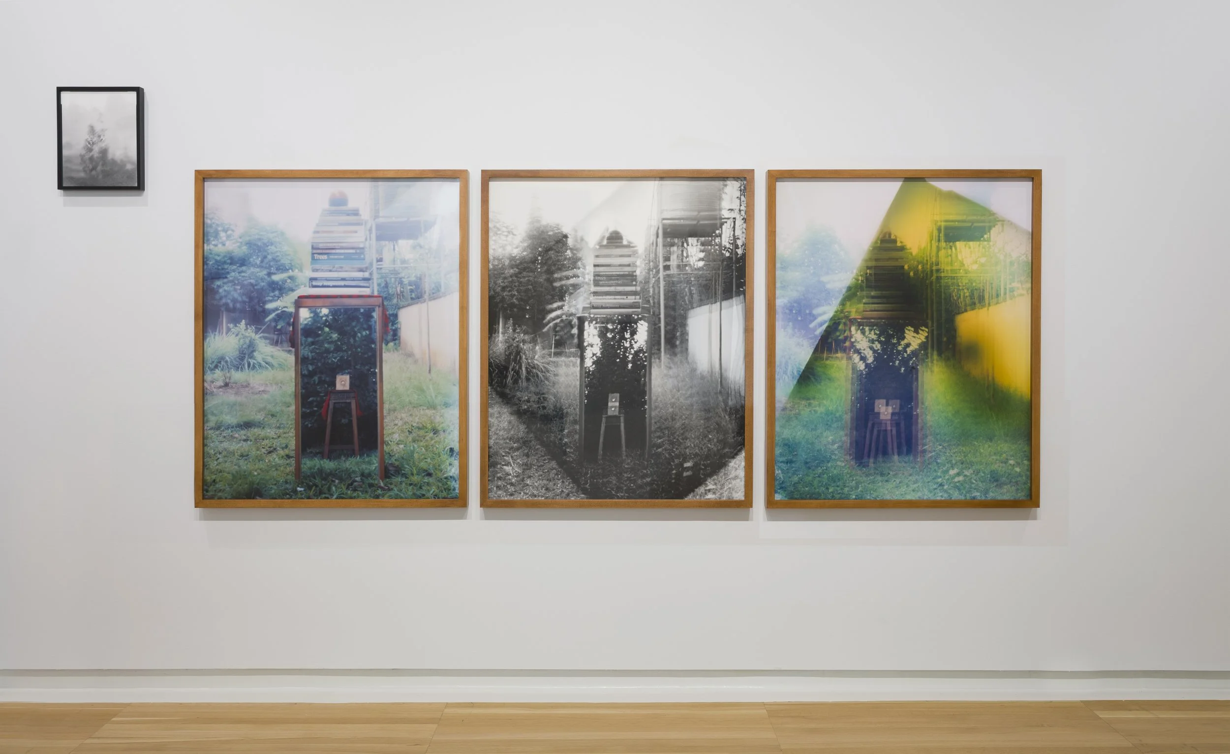 Installation view (detail) of Eric Gyamfi, Stomata:
Dr. Mahashe’s Open Frames (2026), in If the
word we, 59th Carnegie International, Carnegie
Museum of Art, Pittsburgh (May 2, 2026–January
3, 2027); photo: Zachary Riggleman / © Carnegie
Museum of Ar
