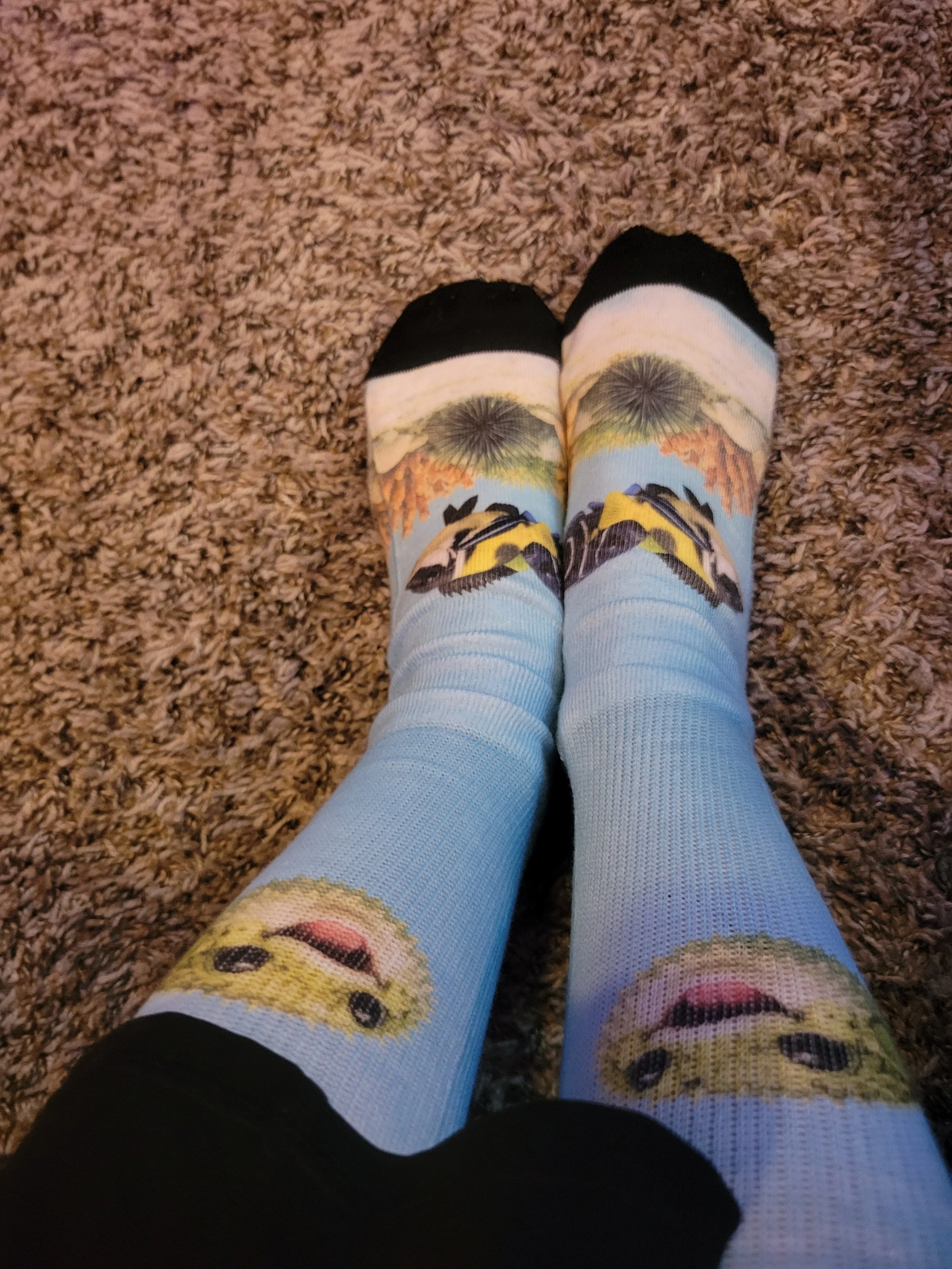 Jake socks 1.jpg