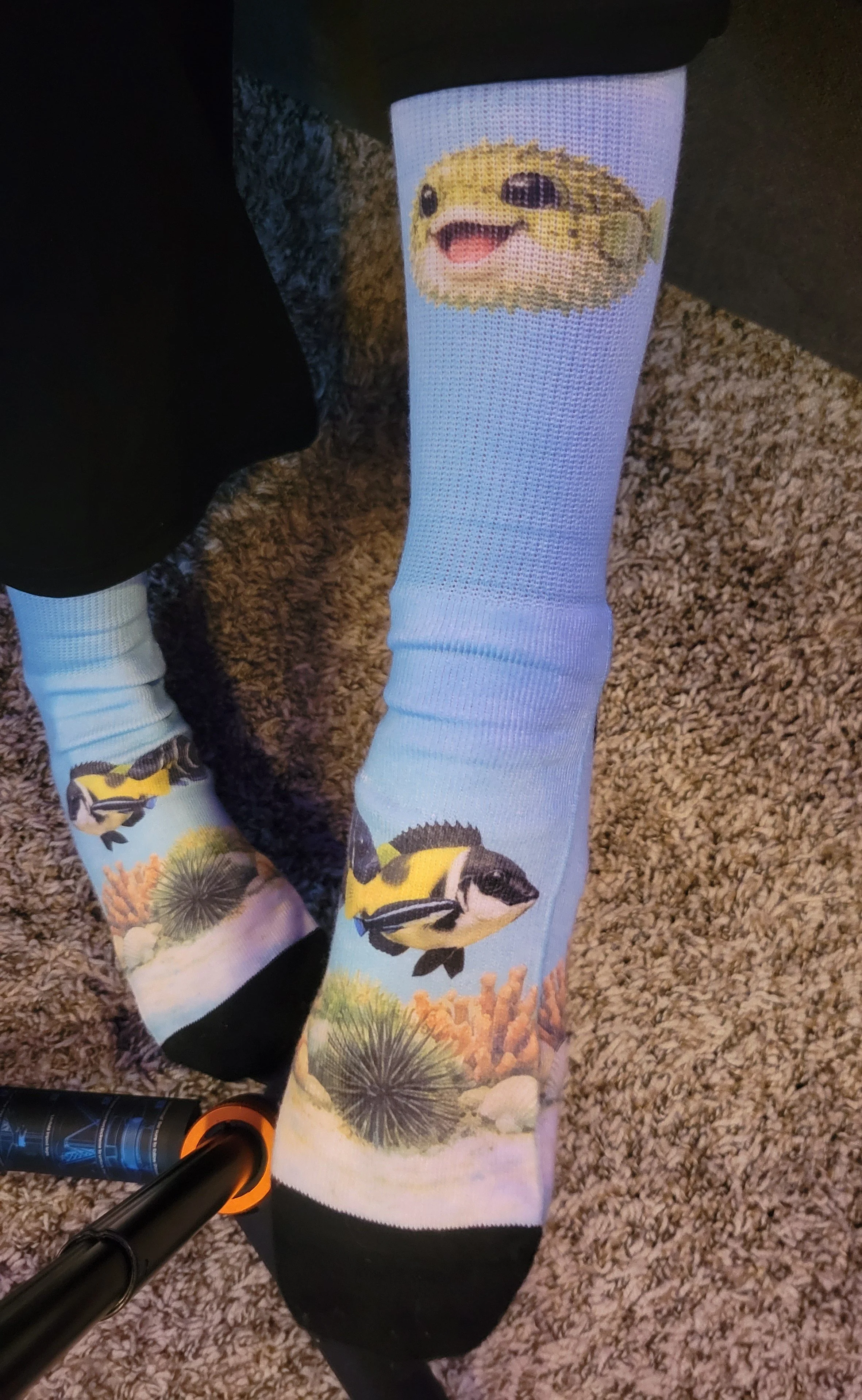 Ocean Reef Sublimation Socks — Tropical Fish Crew Socks