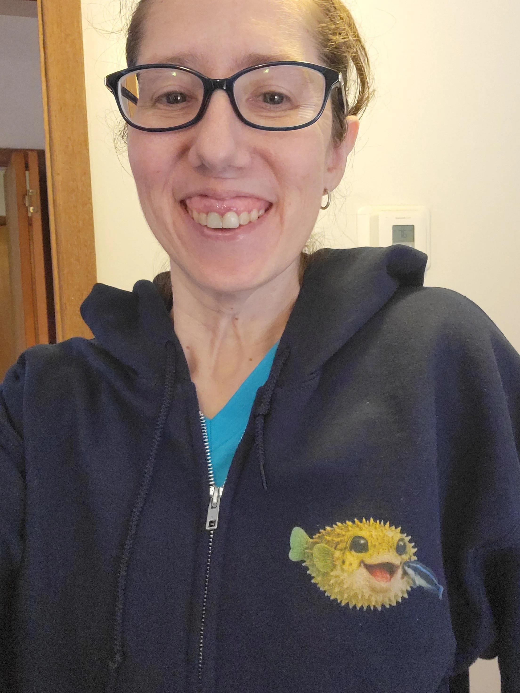 hoodie front flipped.jpg