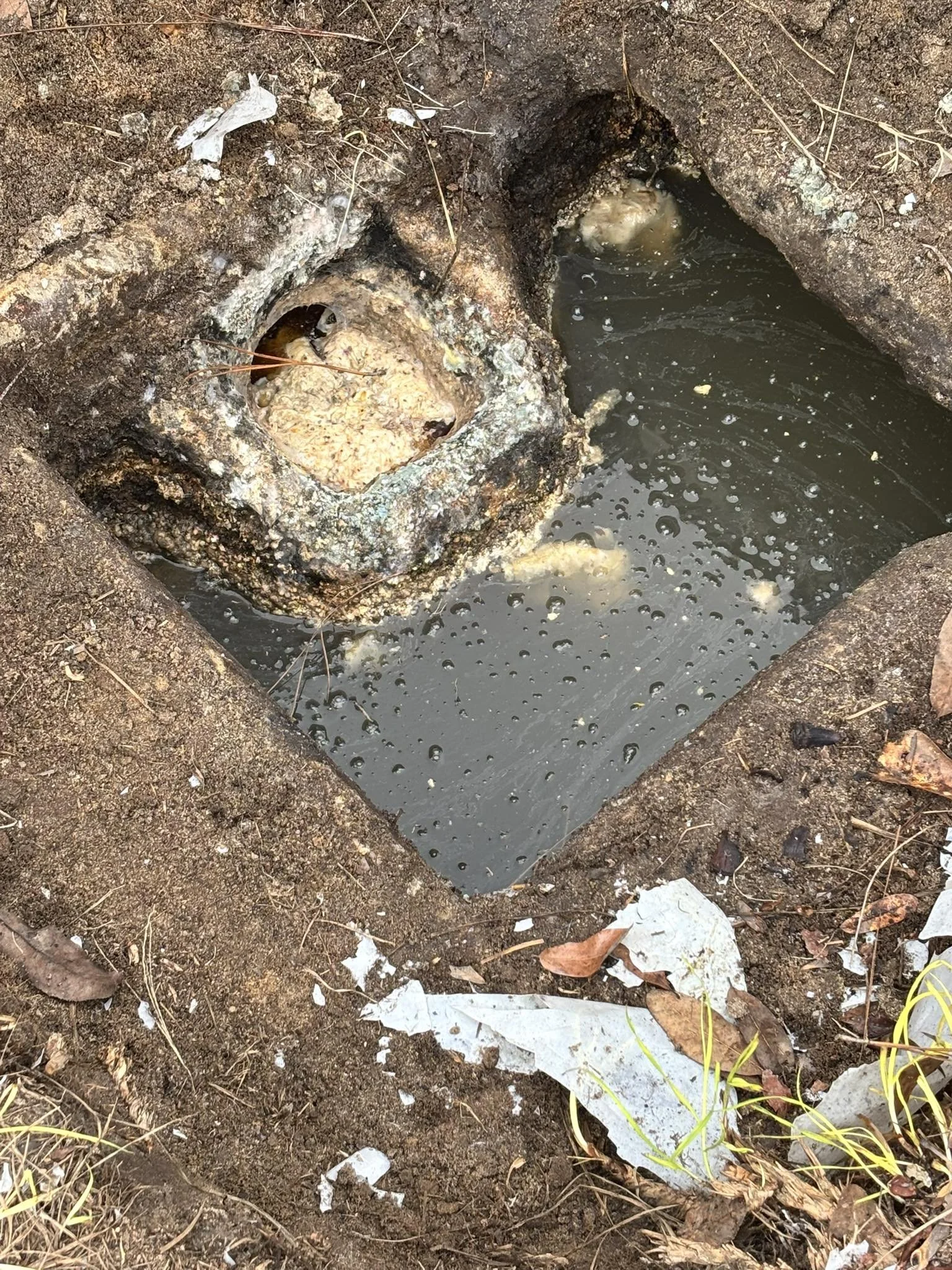 What Not to Flush (or Pour Down the Drain)