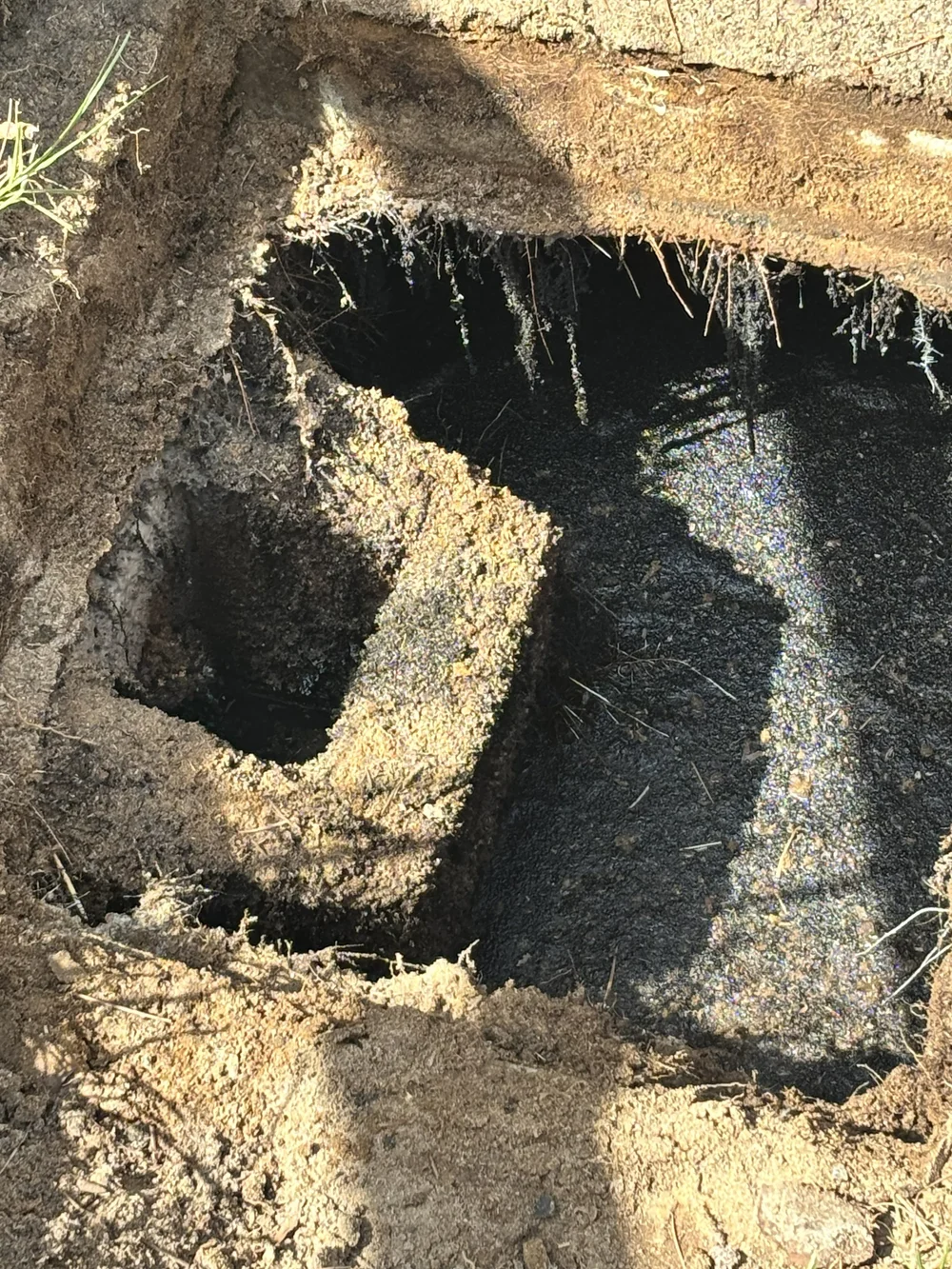Real-estate septic inspection in Lexington, SC