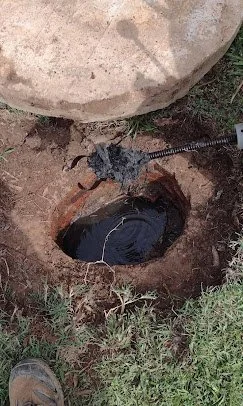 A person digging a hole with a trowel in the ground, with a large rock nearby and some grass around.