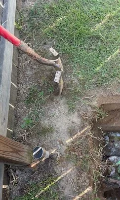 Someone planting a small tree or shrub in a garden bed, with a hammer nearby, in a grassy outdoor area.
