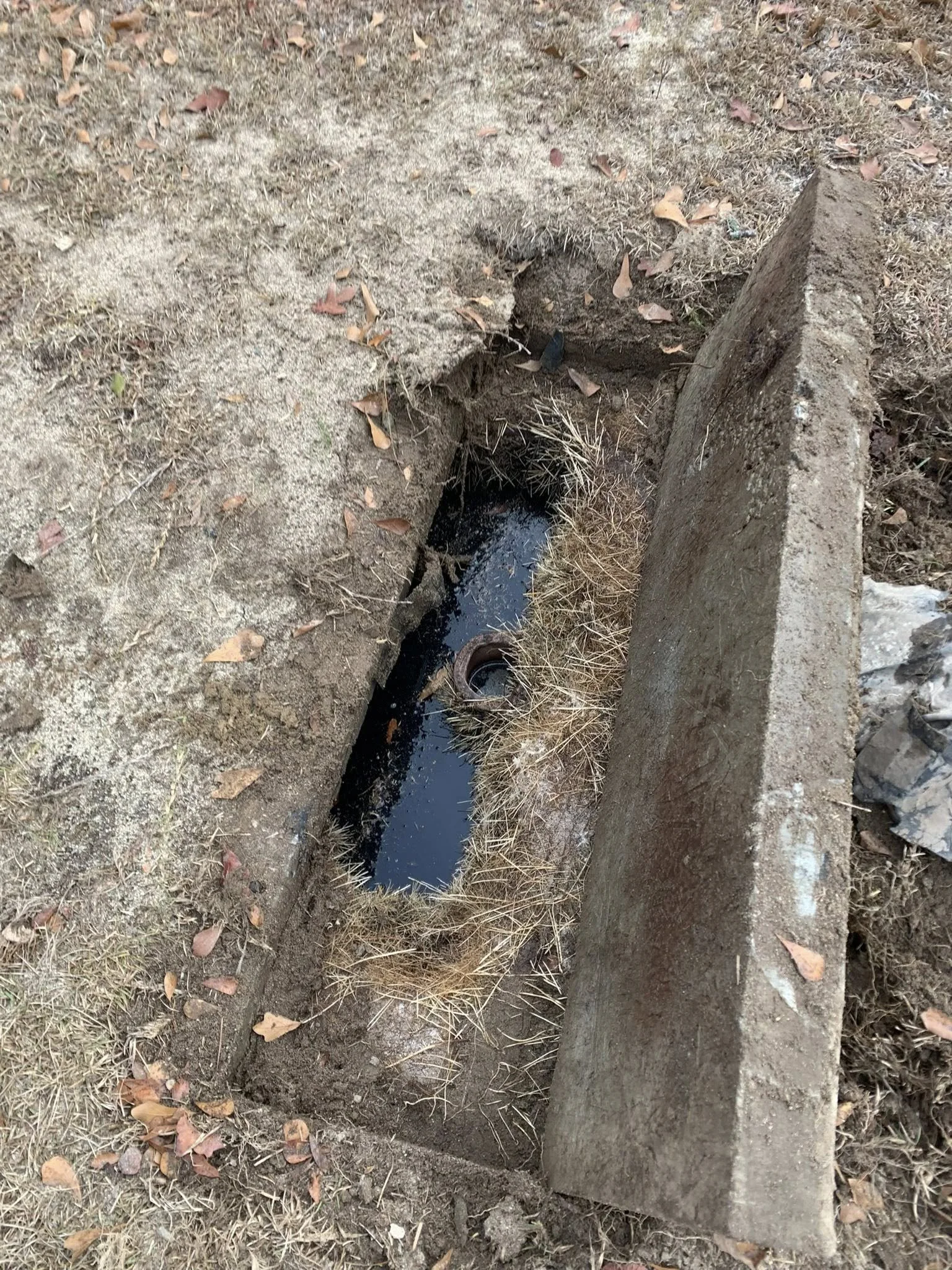 Roots in septic tank in Gilbert, SC