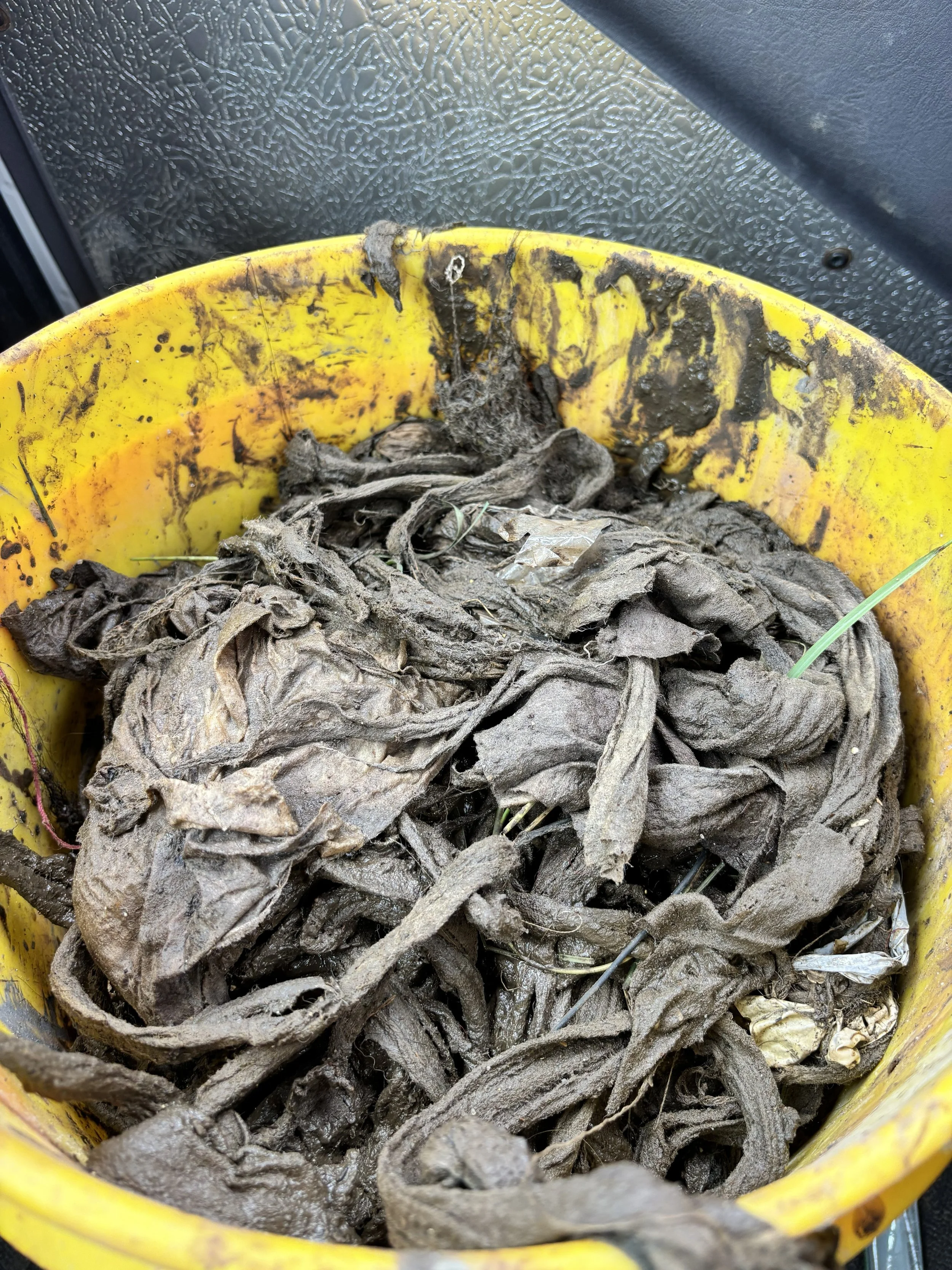 More wipes (they may be "flushable" but don't do it)